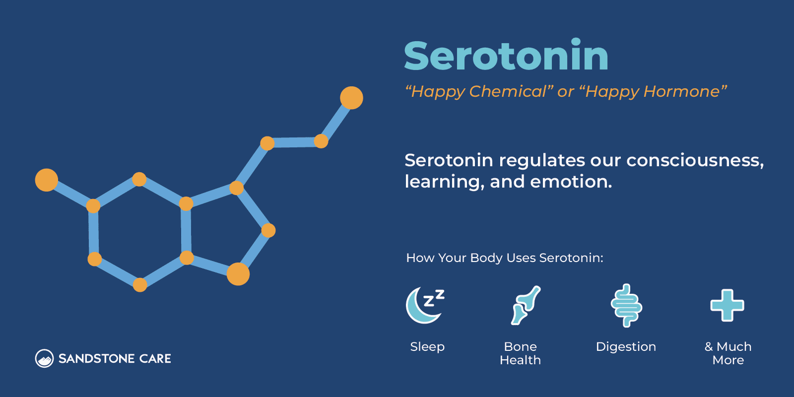Infographic explaining the basic structure and function of serotonin in the body