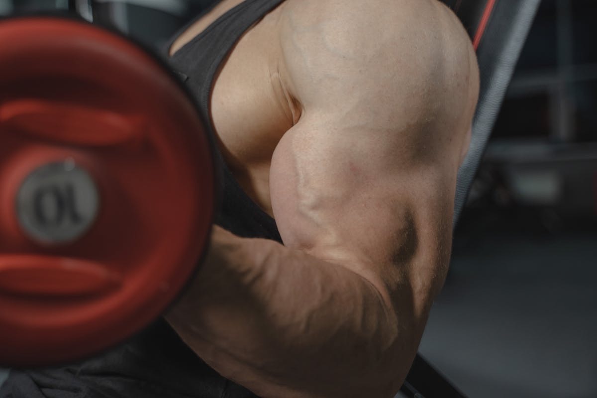 veins bulging in a man's arm has performs a strenuous muscle-building exercise in the gym
