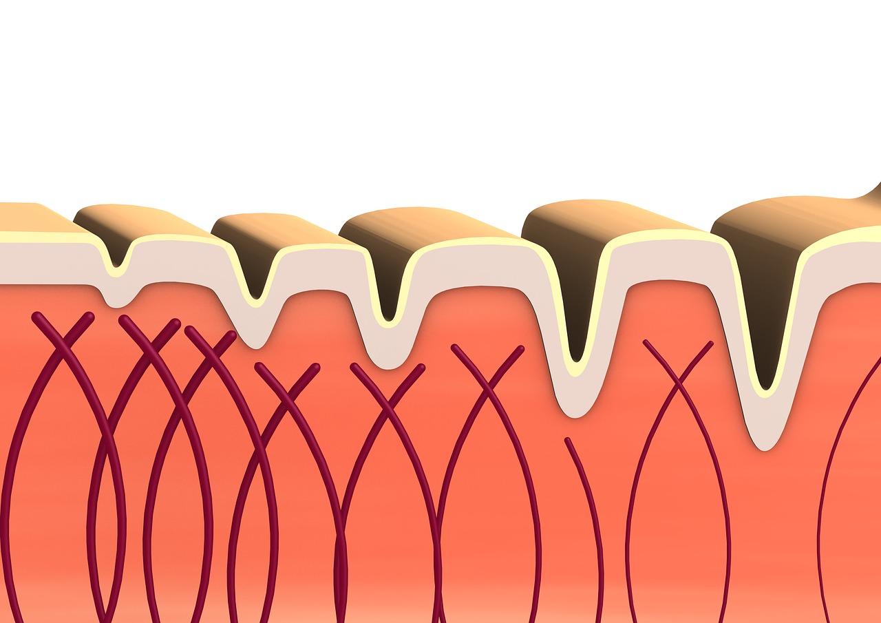 A cartoon depiction of collagen.