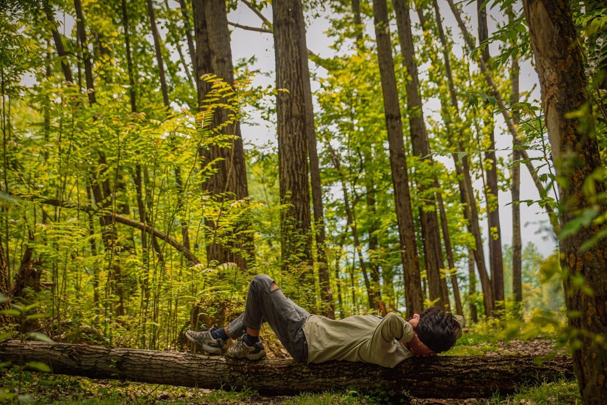 man lying on a fallen tree in a forest, looking up at the vibrant green canopy