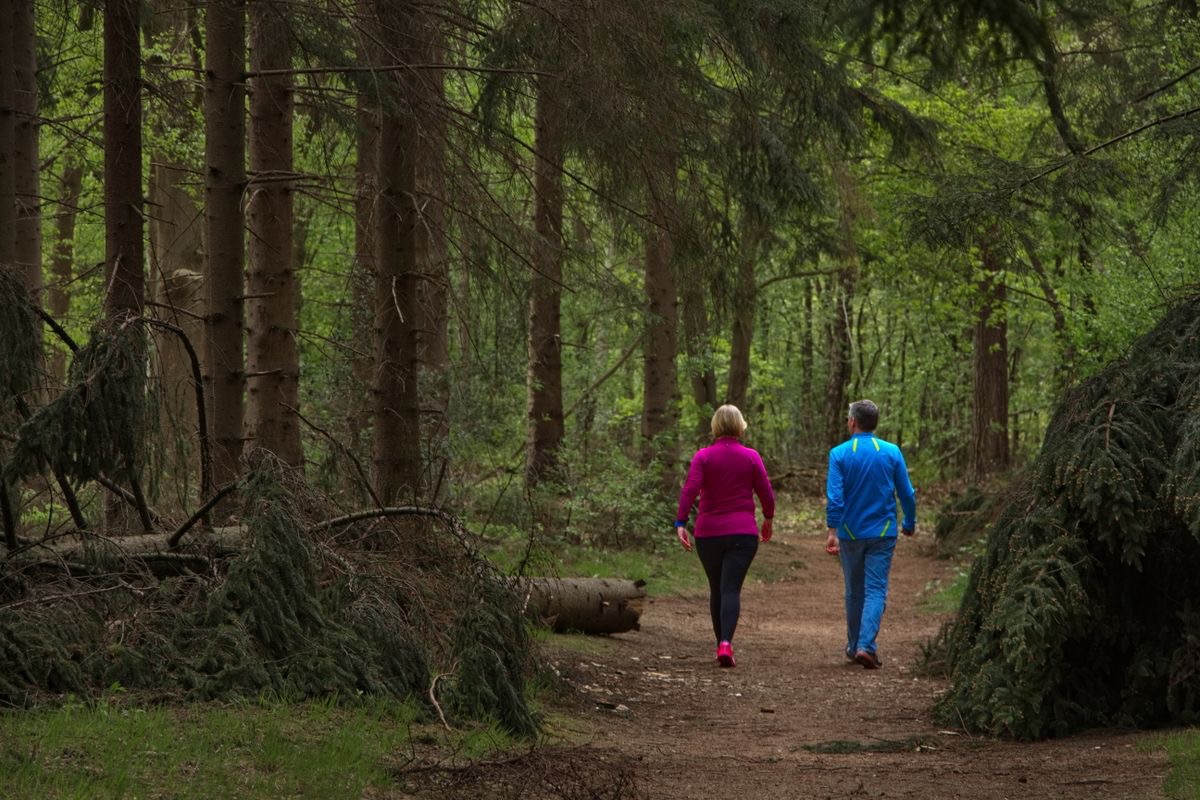 older couple taking a walk in the forest
