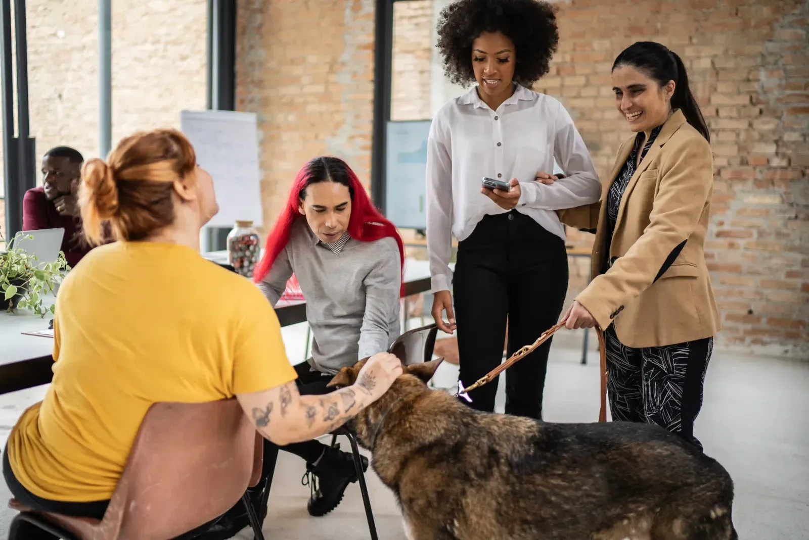 Global Accessibility Case Study