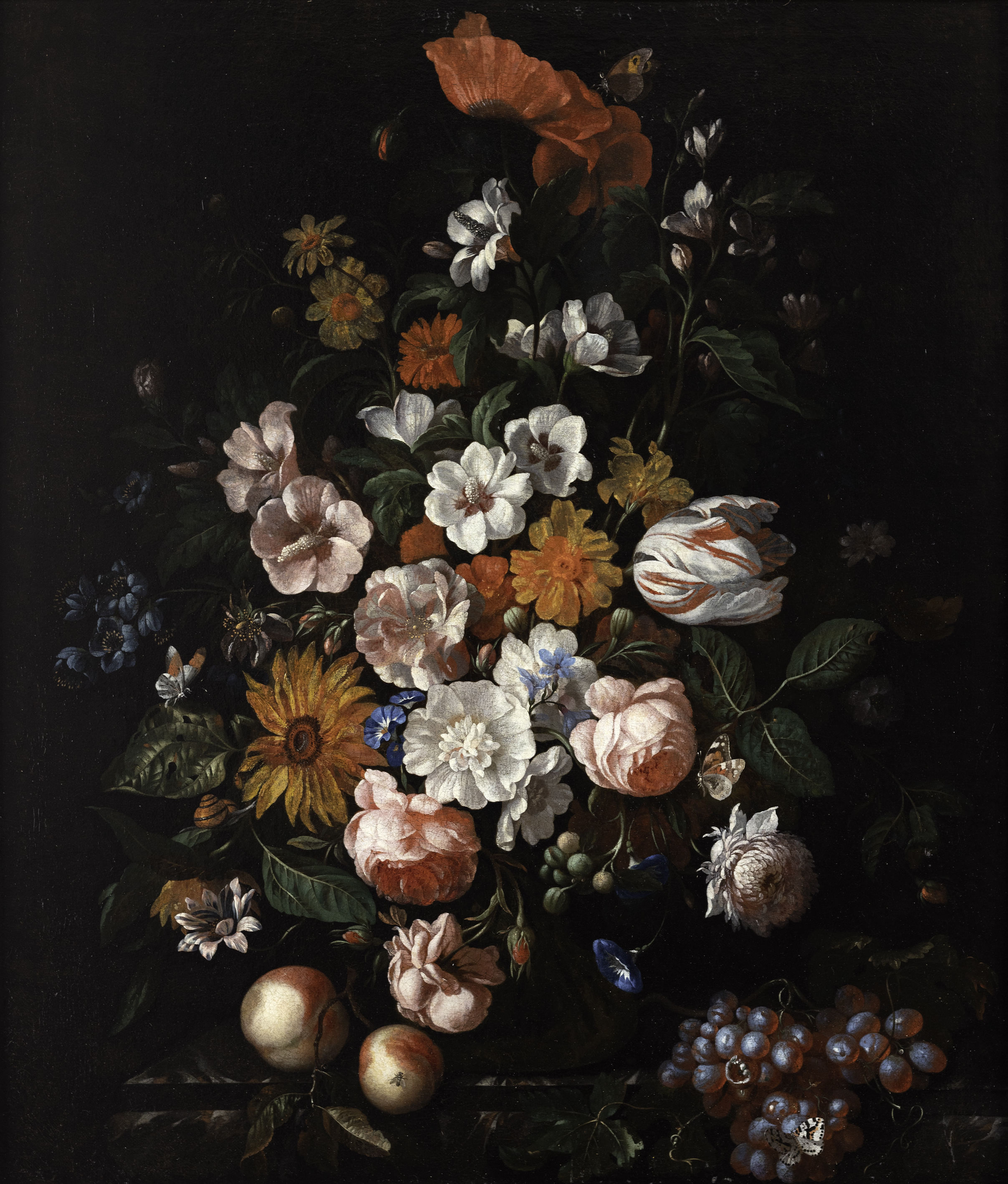 A still life of flowers, grapes and a butterfly