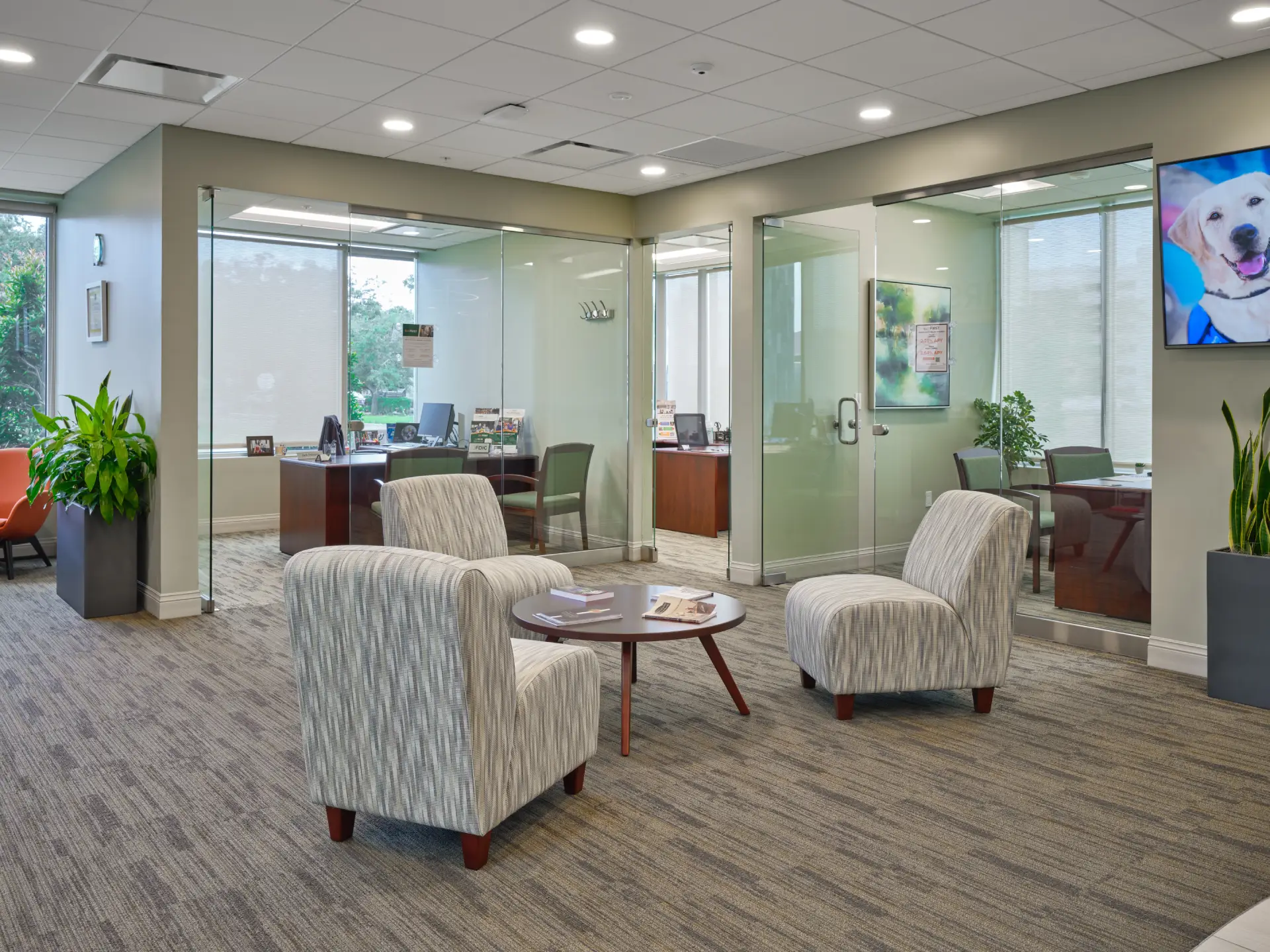 sabal palm plaza lobby