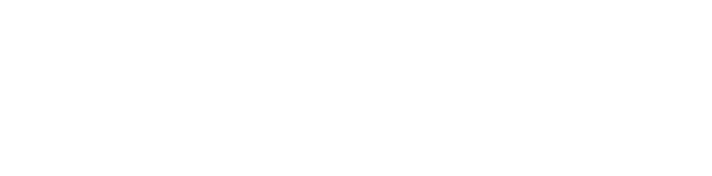 Portant Logo