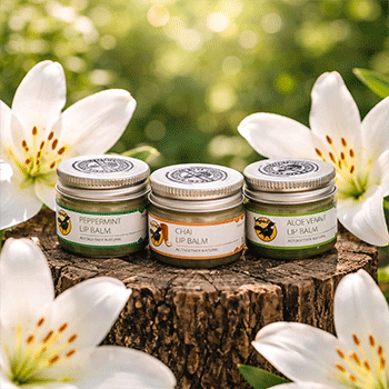 Three pots of natural lip balm