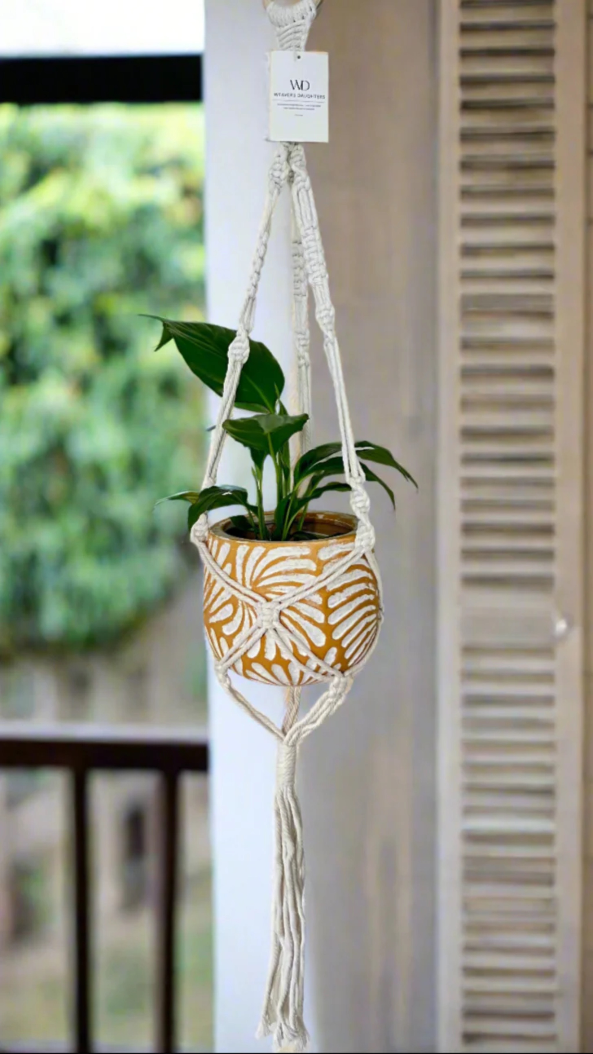 Bars & Nightclubs using Upstock for wholesale alcohol ordering