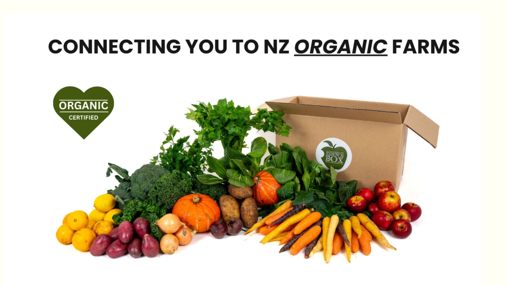 Bars & Nightclubs using Upstock for wholesale alcohol ordering