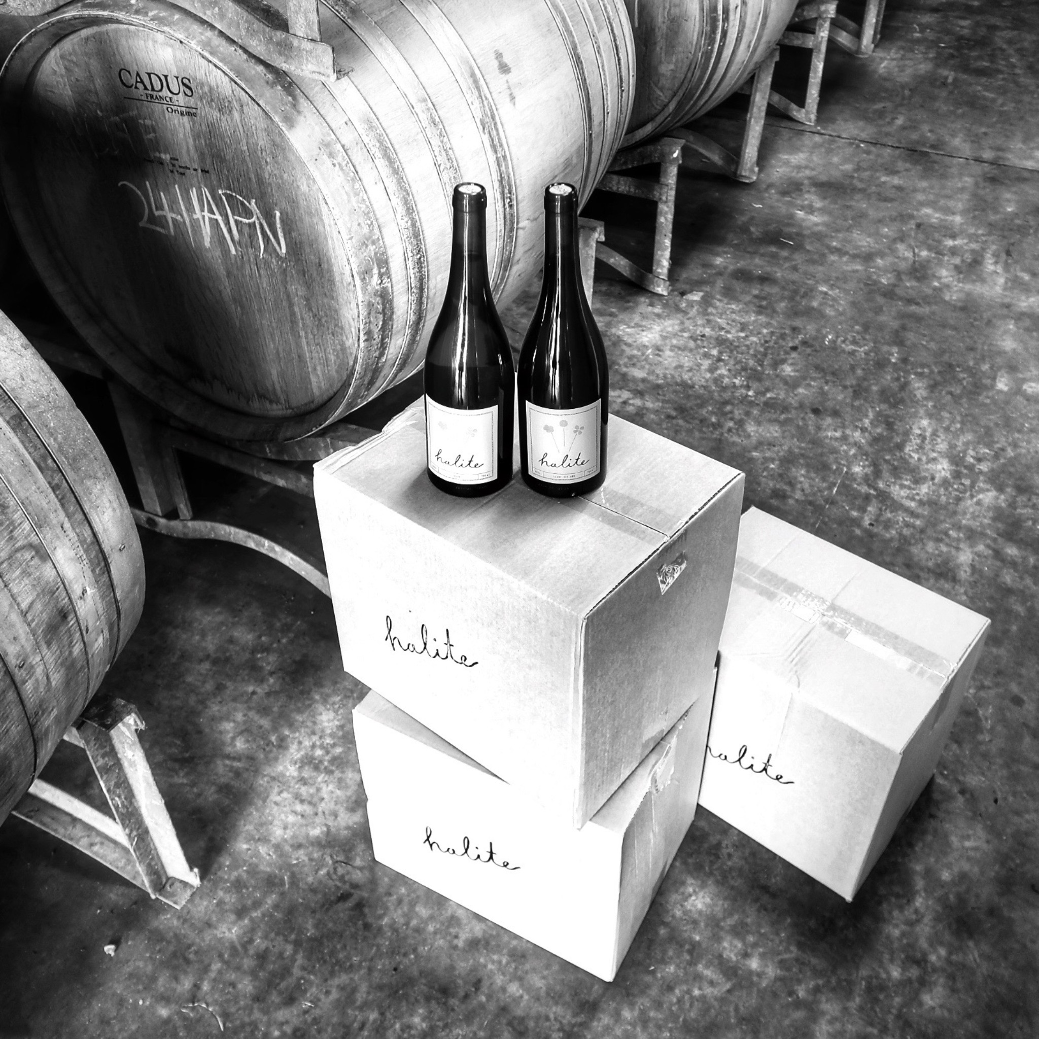 Bars & Nightclubs using Upstock for wholesale alcohol ordering