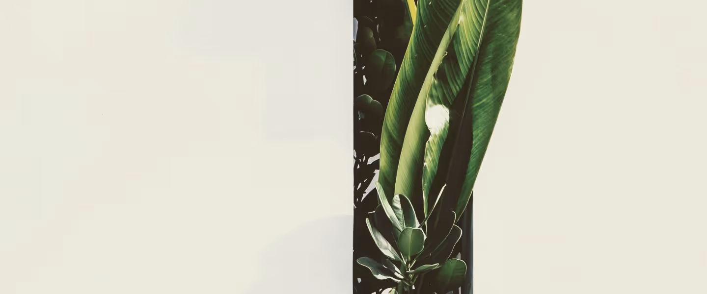 La importancia de criterios ambientales, sociales y de gobierno corporativo en las empresas.