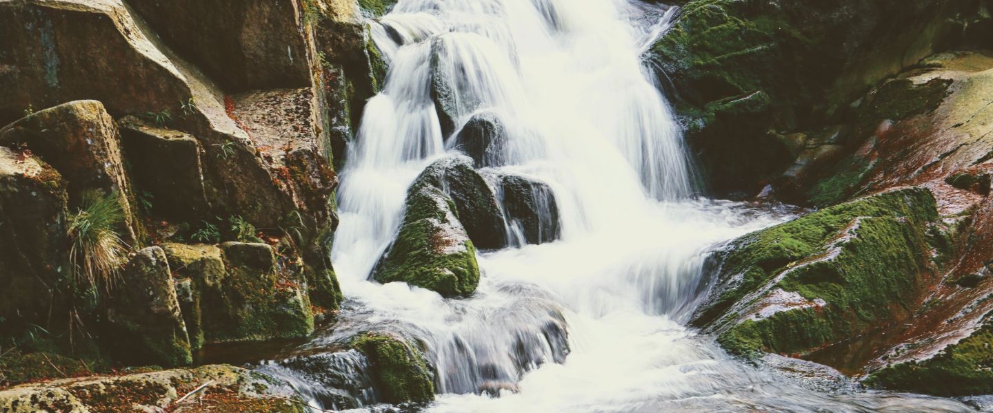 ¿Qué rol juega la riqueza de las familias de alto patrimonio en la sociedad?