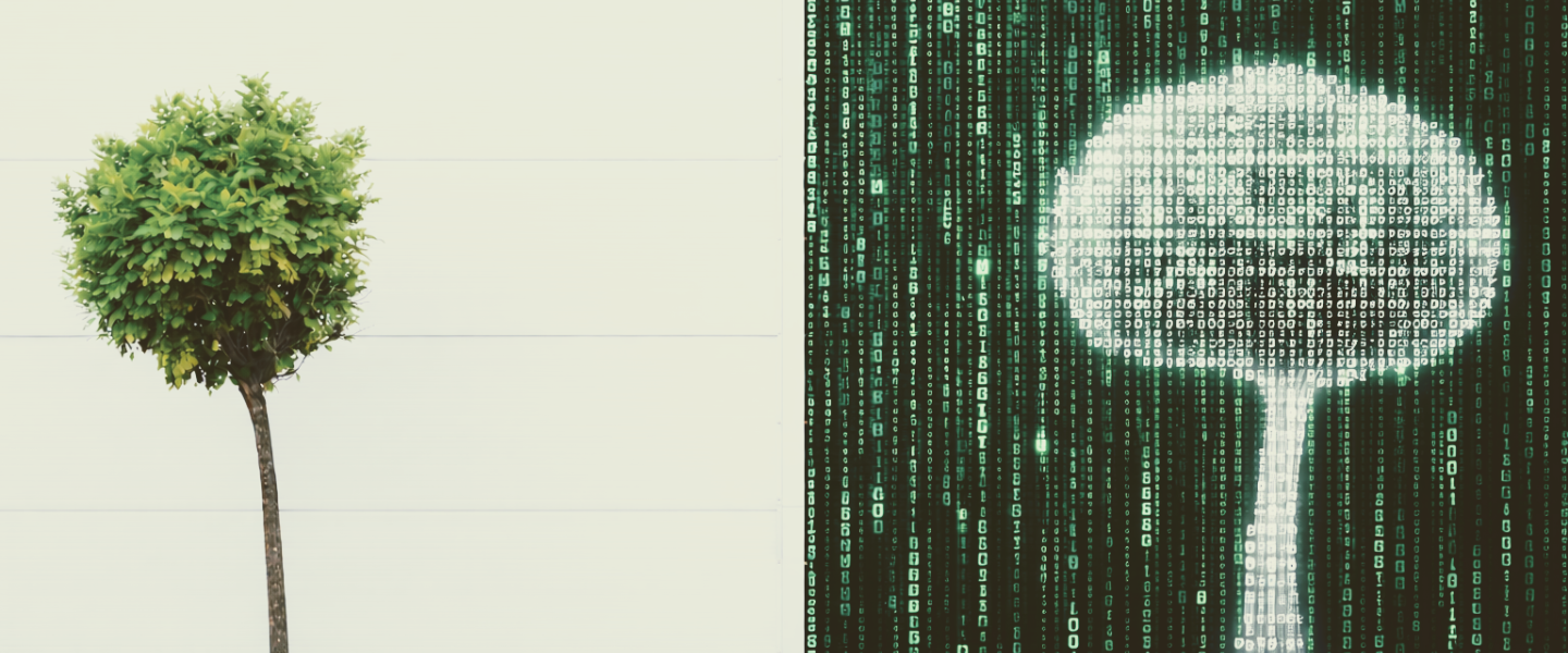 Dos árboles, uno hecho de códigos