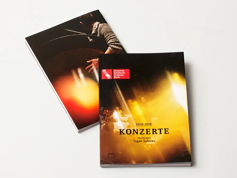 DSO Season Brochure 14/15