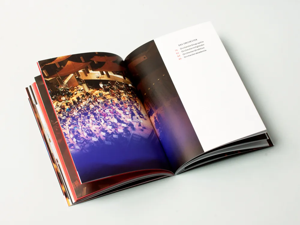 DSO Season Brochure 14/15
