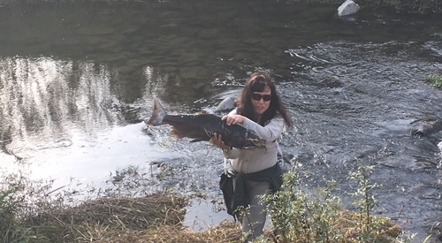 Photo of a woman by a creek holding a large fish