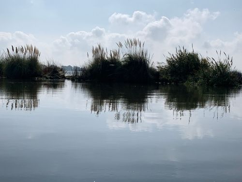 View of tullies by the shore