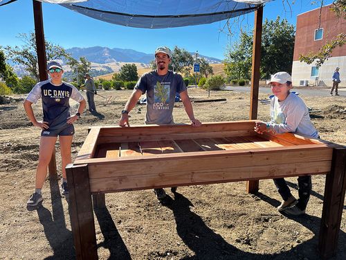 Workers constructing a community garden