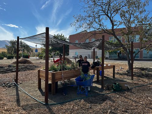 Workers constructing a community garden