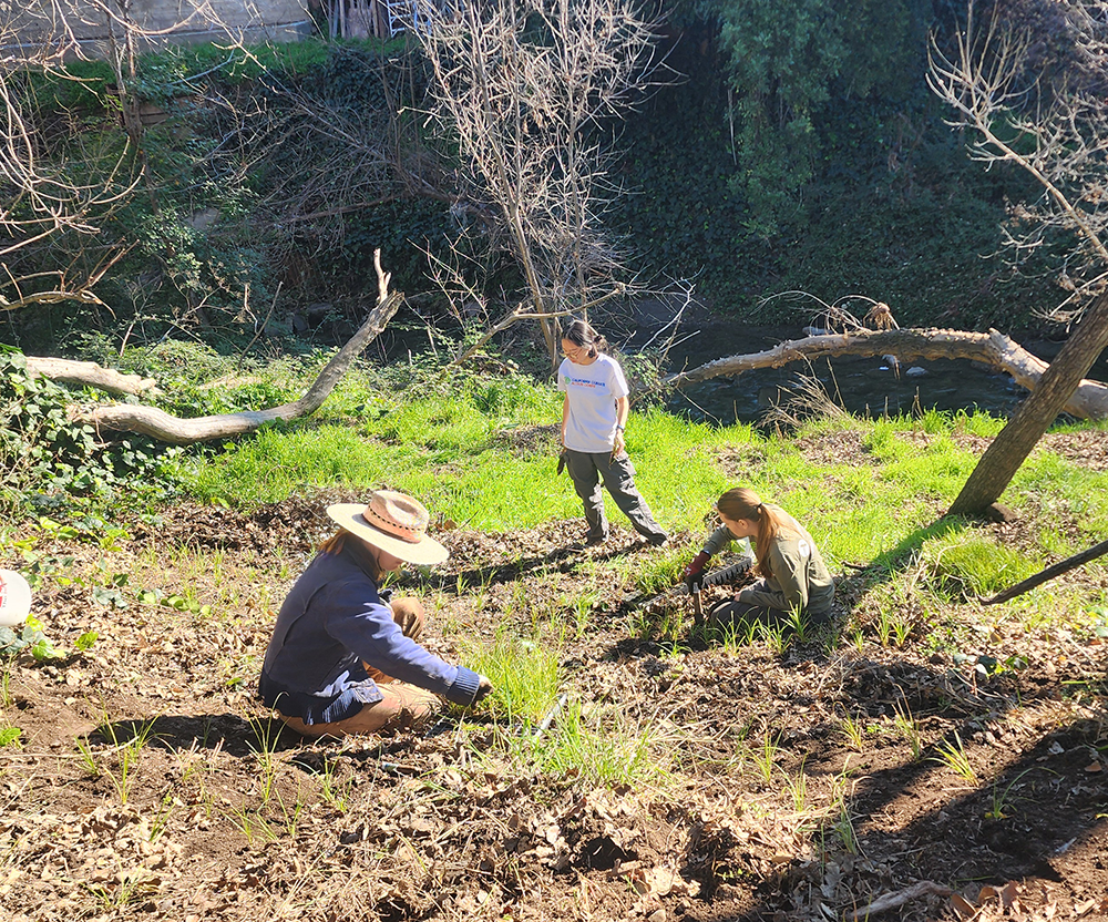 A staff worker in a field showing thumbs up