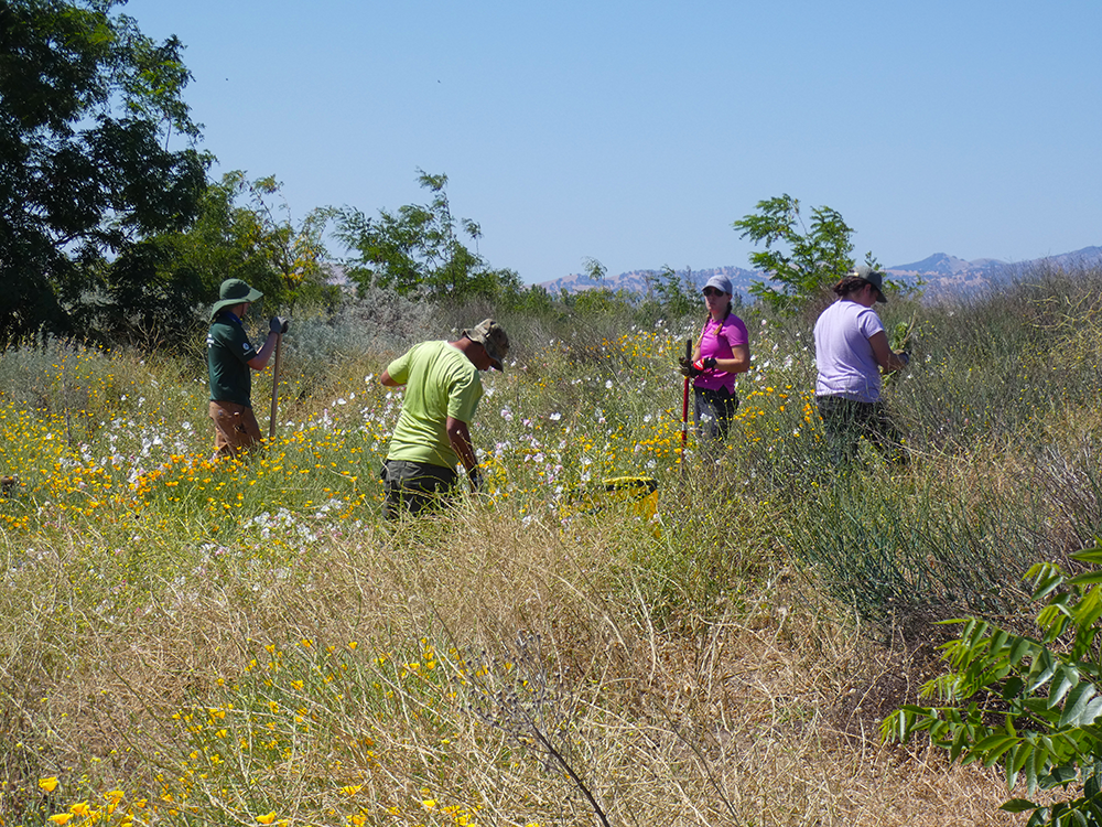 A staff worker in a field showing thumbs up