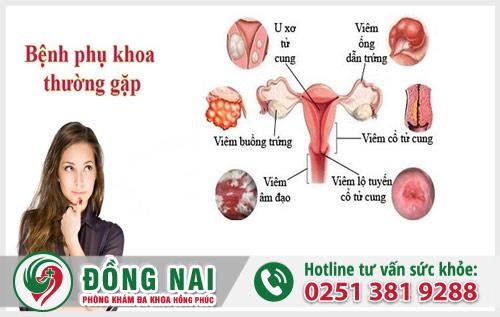 D:\Bai SEO\kham-phu-khoa-nhu-the-nao-1.jpg