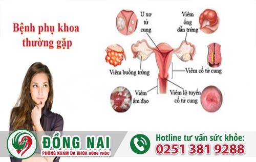 D:\Bai SEO\benh-phu-khoa-la-gi-1.jpg