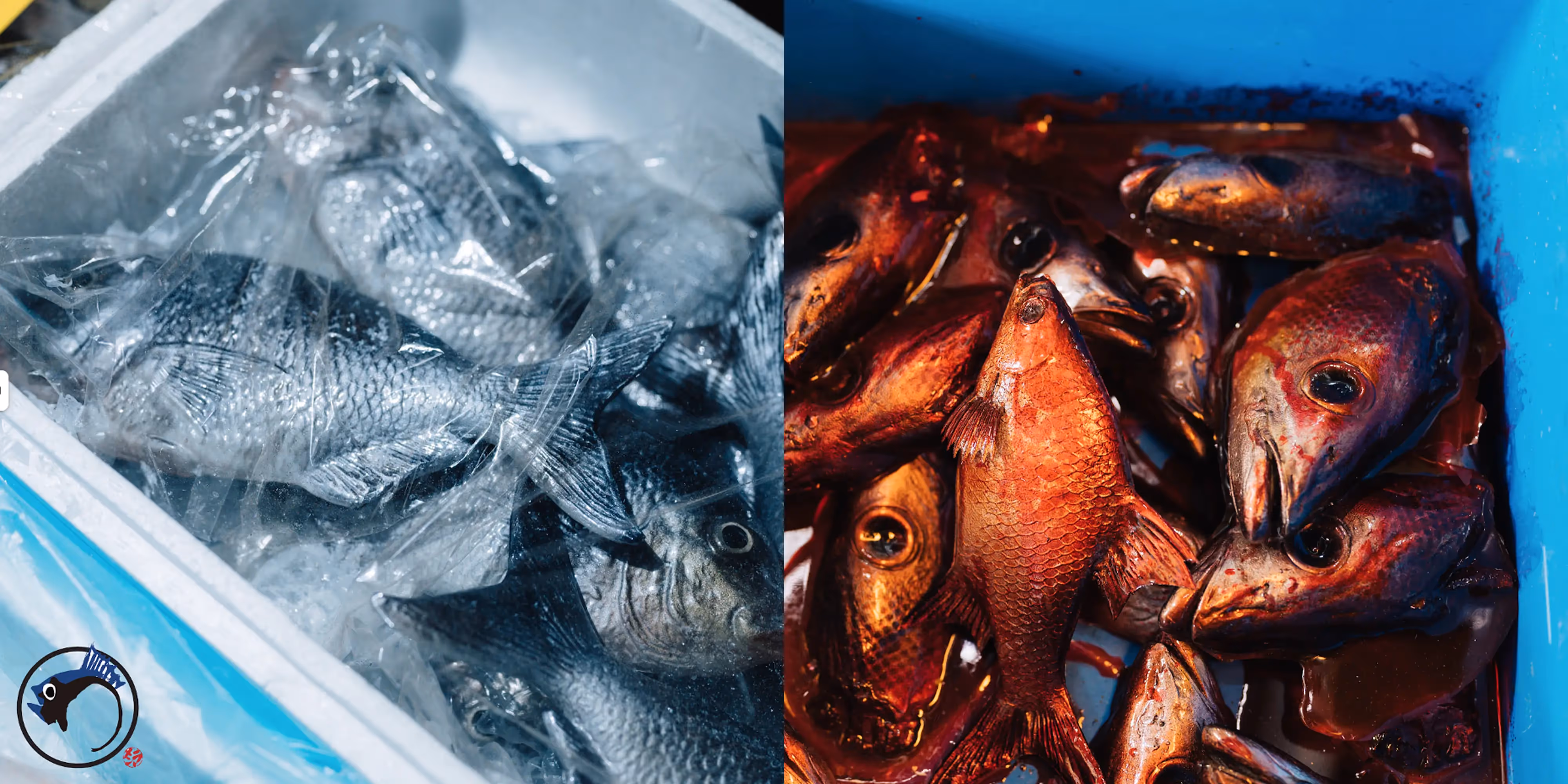 Staff in white rubber boots stand on a wet-look textured floor, part of a restaurant interior designed to mimic a bustling seafood market