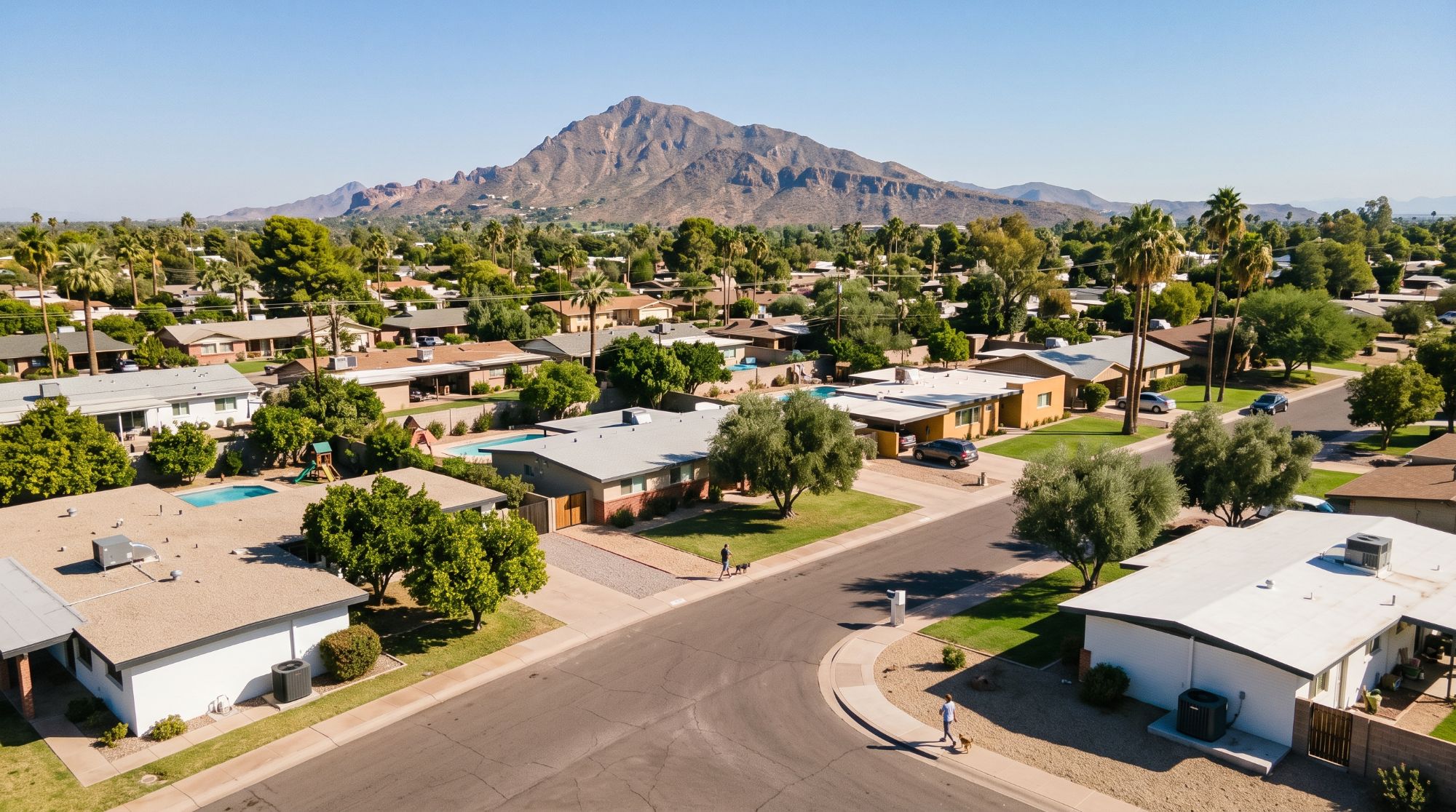 Single-story homes and palm trees with a mountain behind them