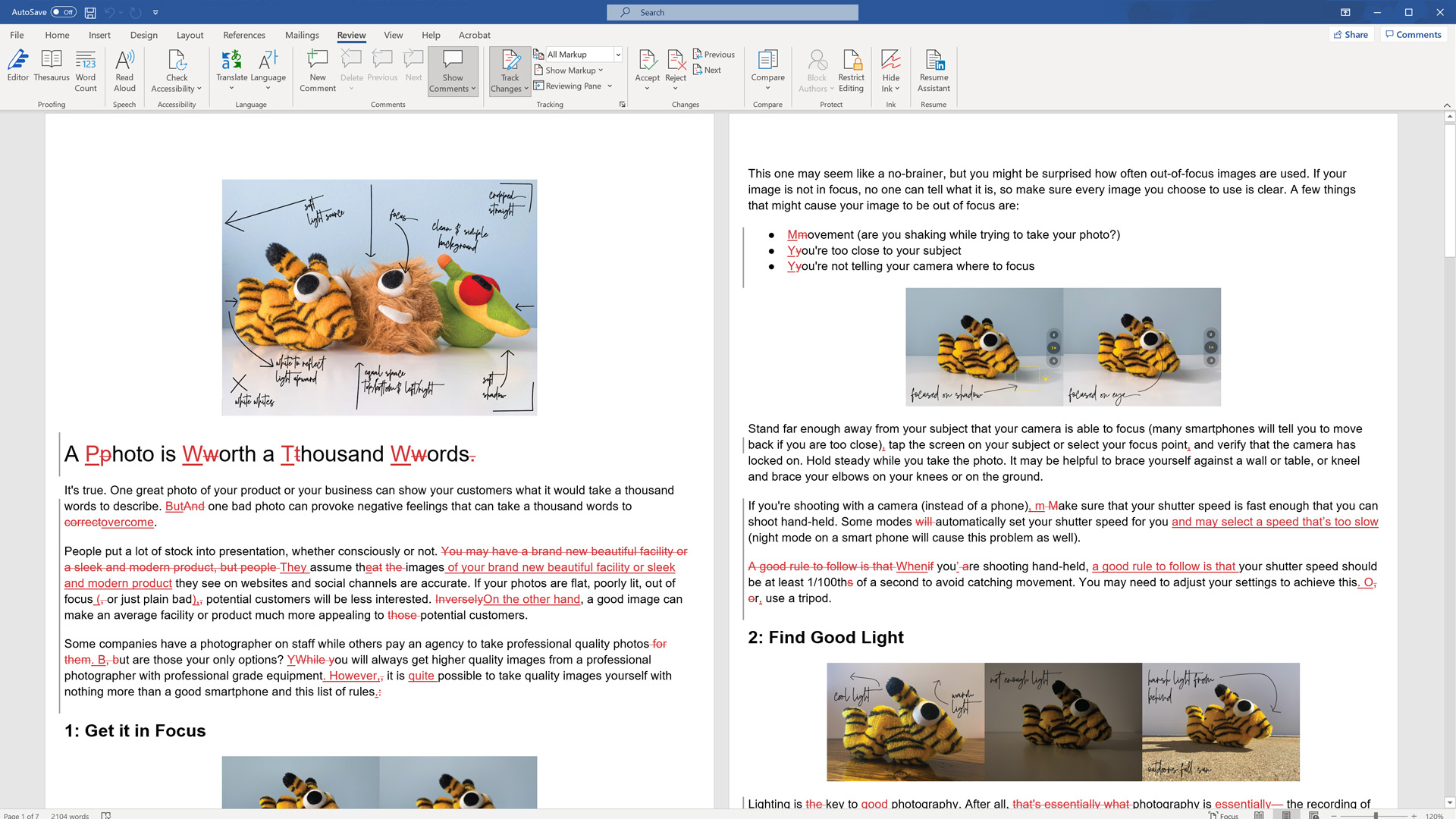 Screenshot of a Microsoft Word document titled 'A Photo is Worth a Thousand Words' with tracked changes and annotations, featuring images of three plush toy animals with lighting and focus notes.