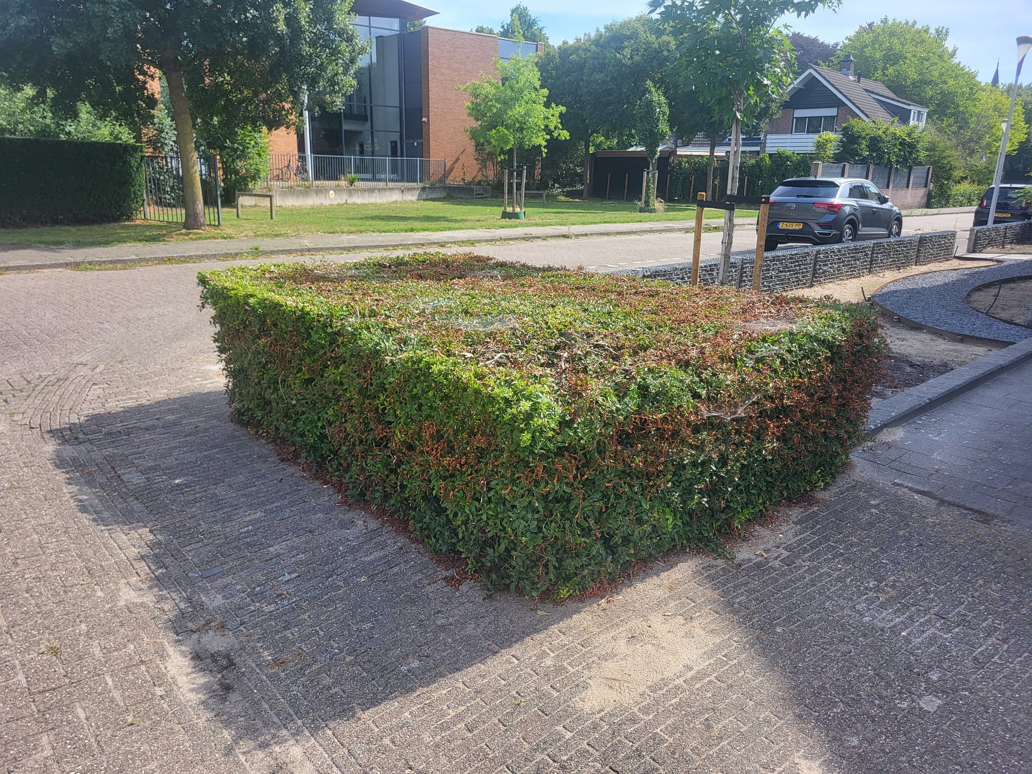 Prikkend groen in de wijk