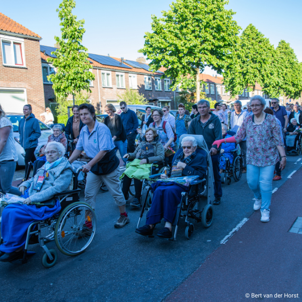 Avondvierdaagse