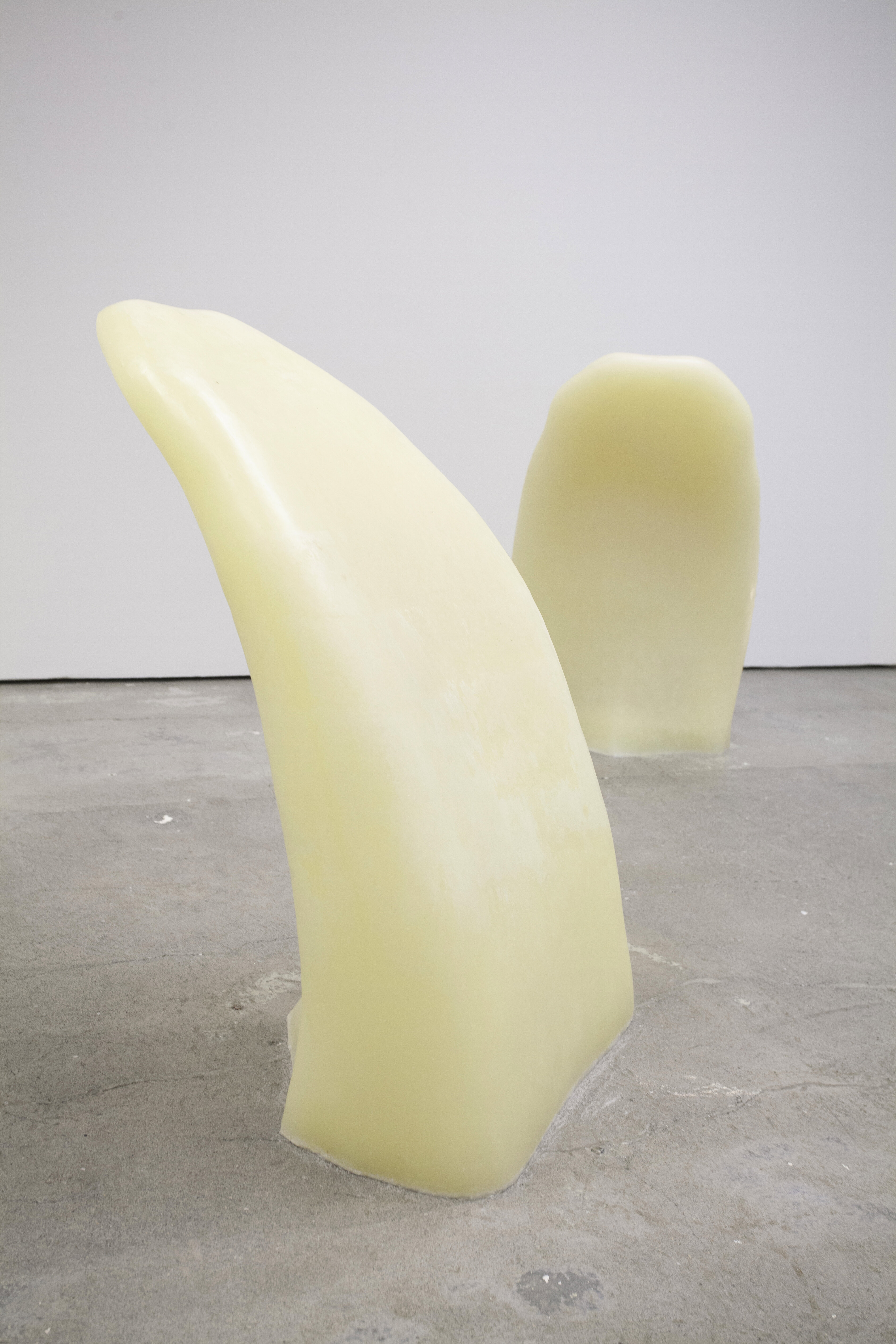 Marie Vedel, The Singer's Tongue, 2020. 