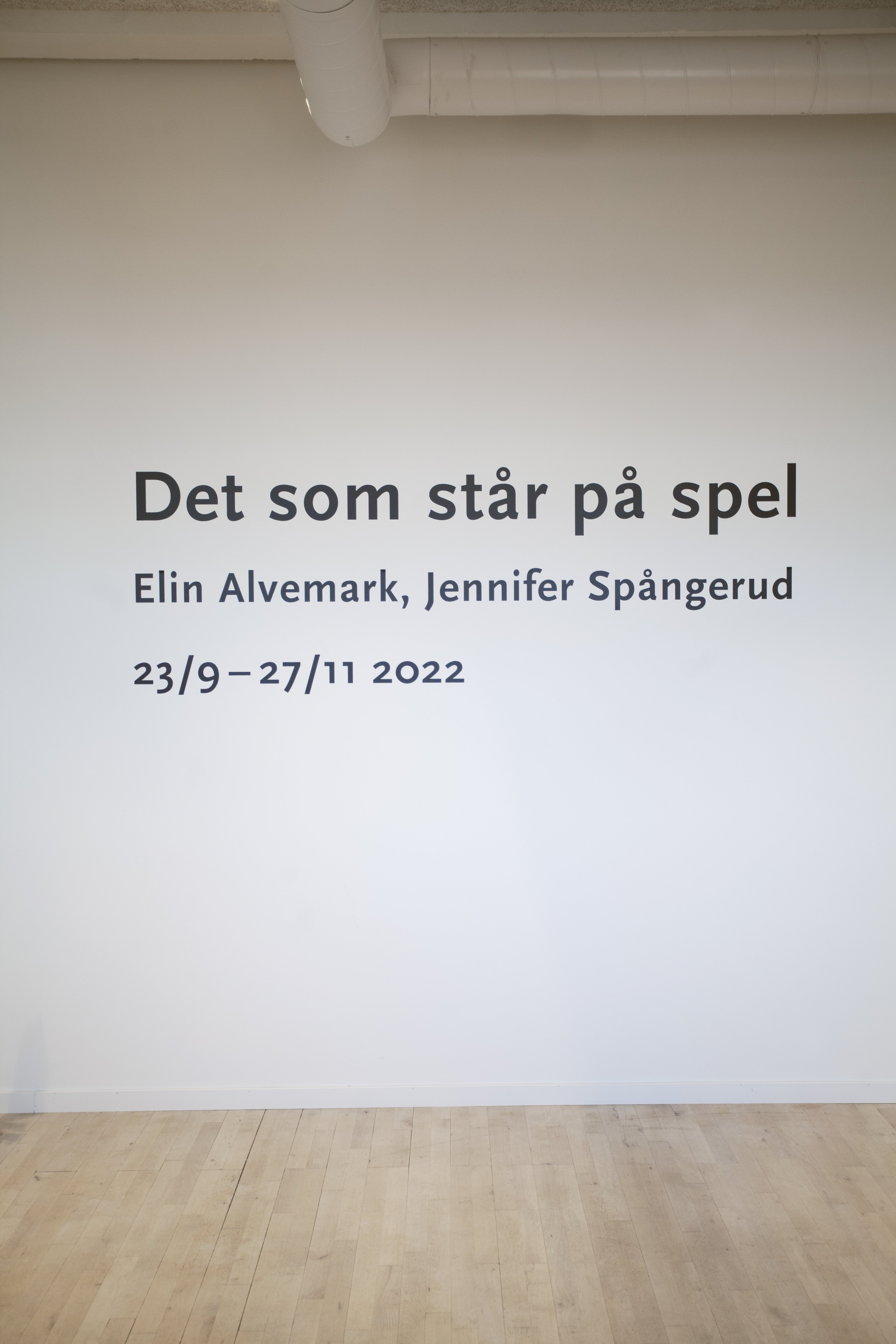 Det som står på spel installationsvy.