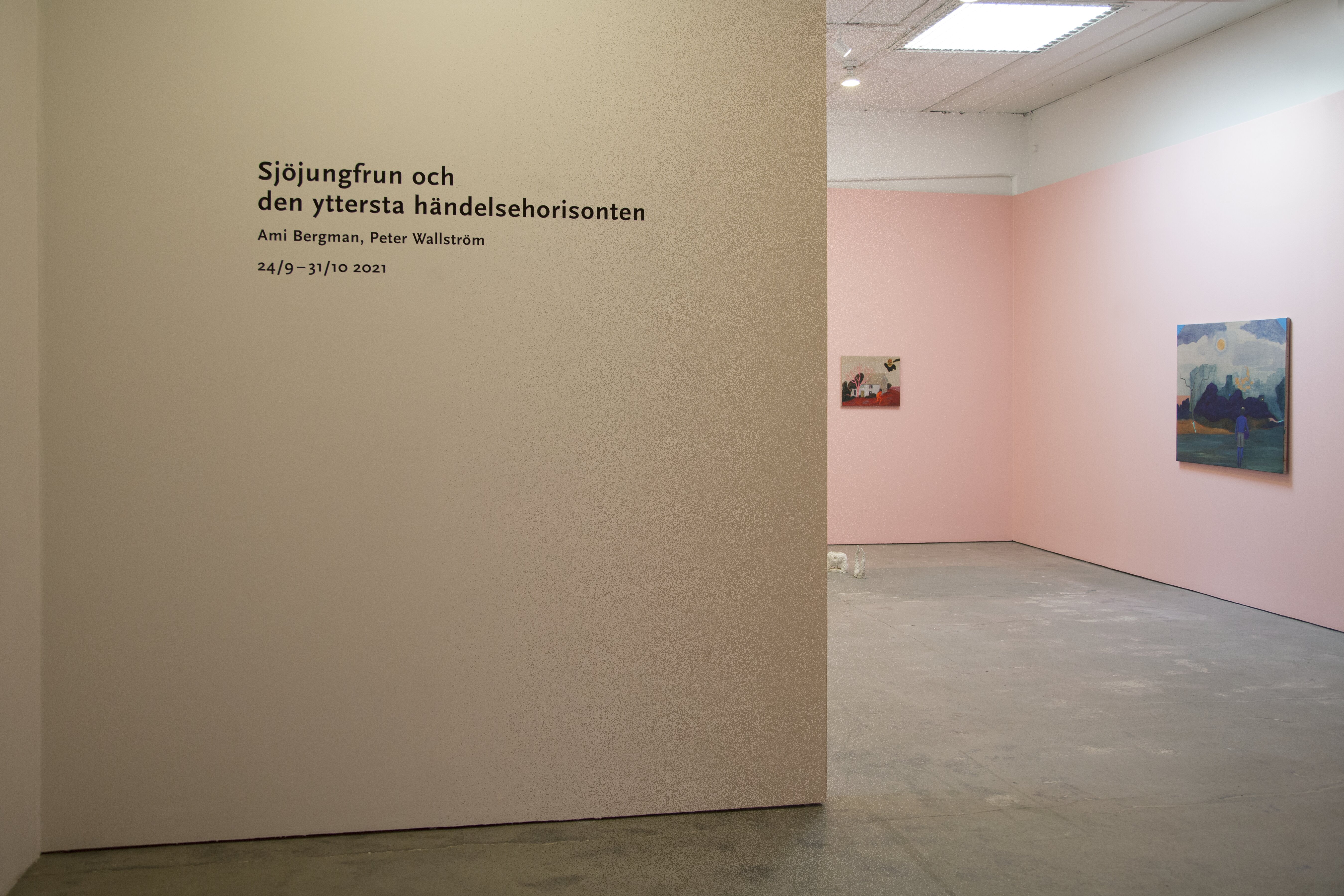 Sjöjungfrun och den yttersta händelsehorisonten/The mermaid and the outer point of no return, installationsvy.