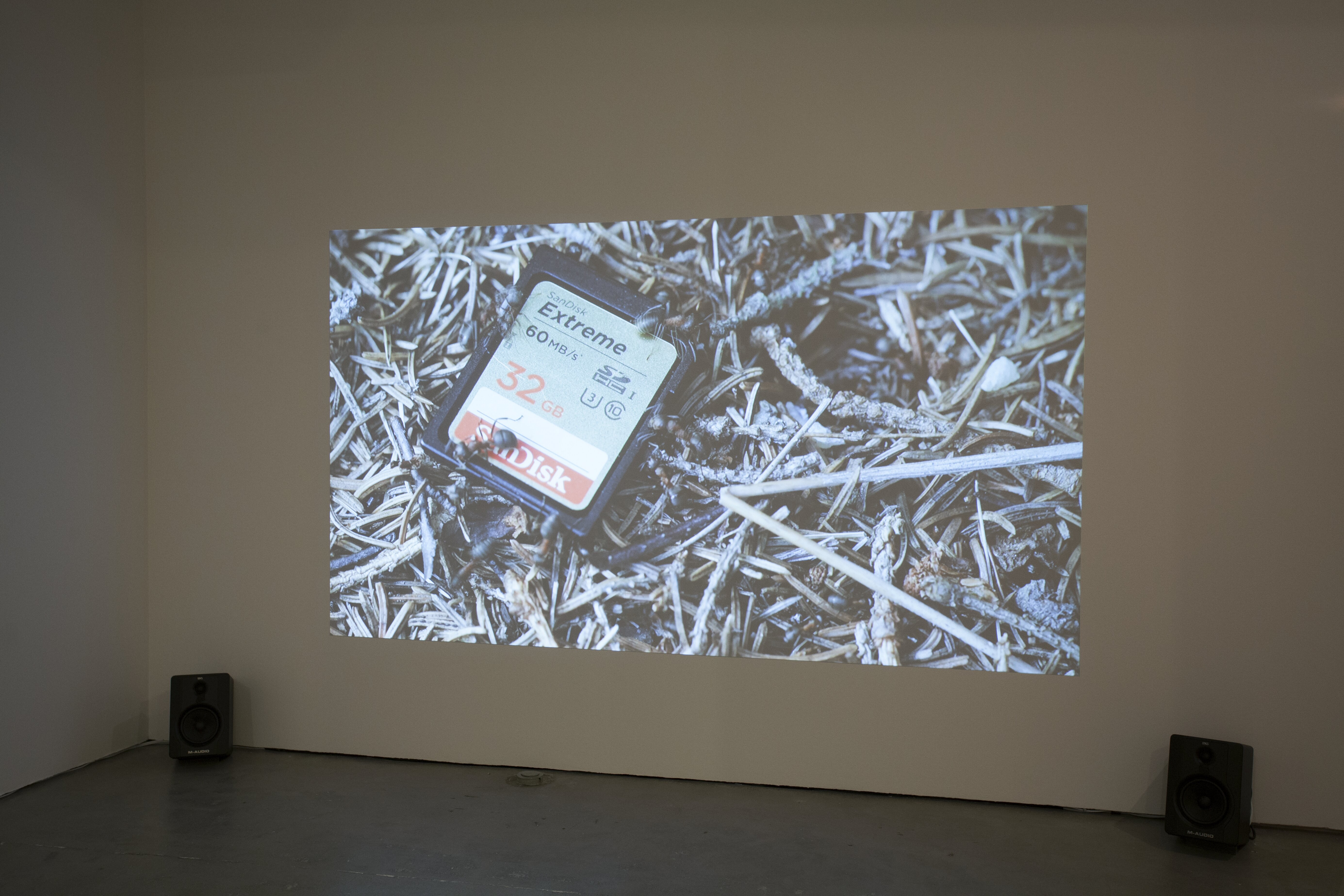 Andreas Kurtsson, Speculative Feed, 2017.