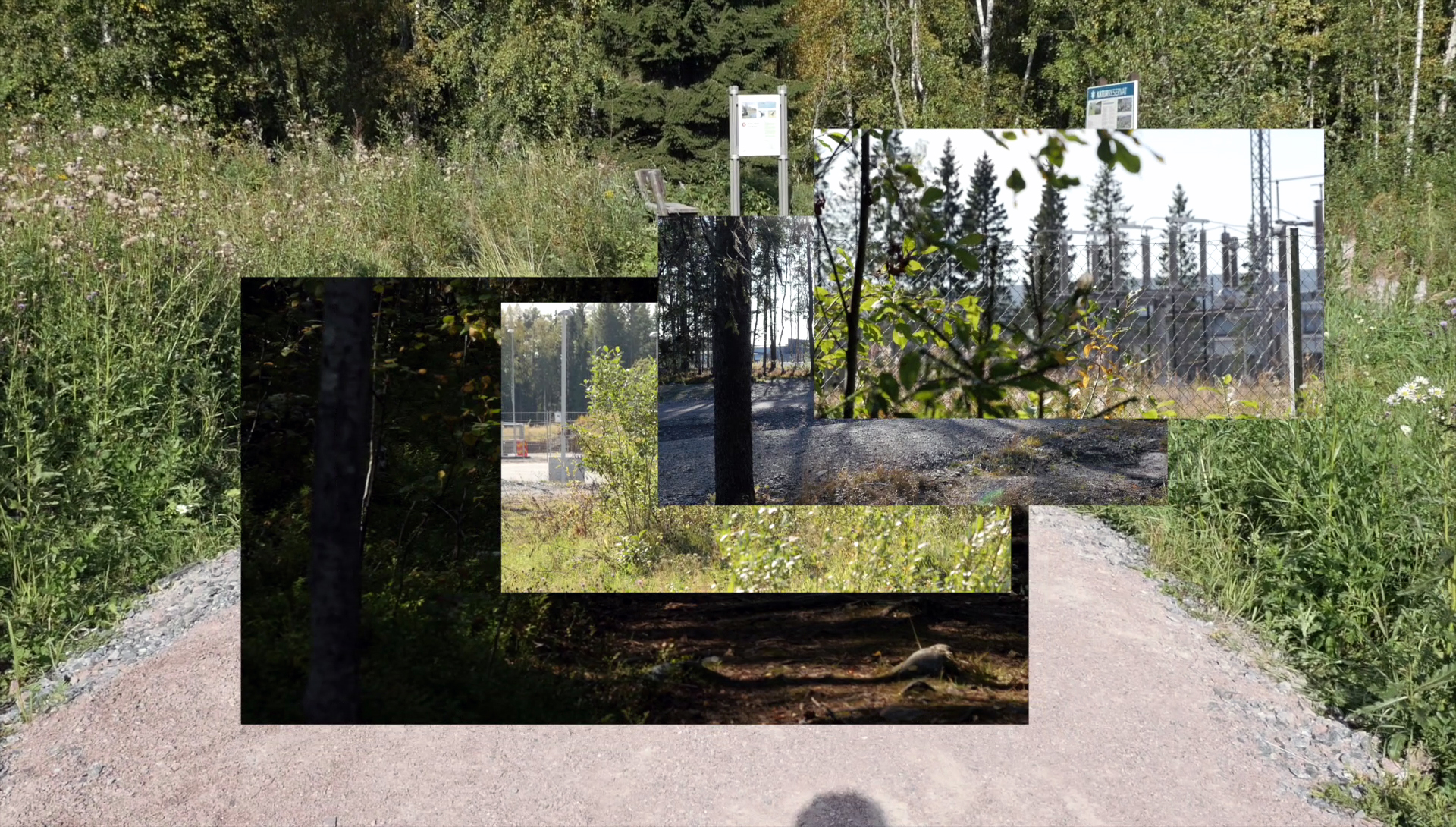 Andreas Kurtsson, Speculative Feed, 2017. Stillbild.