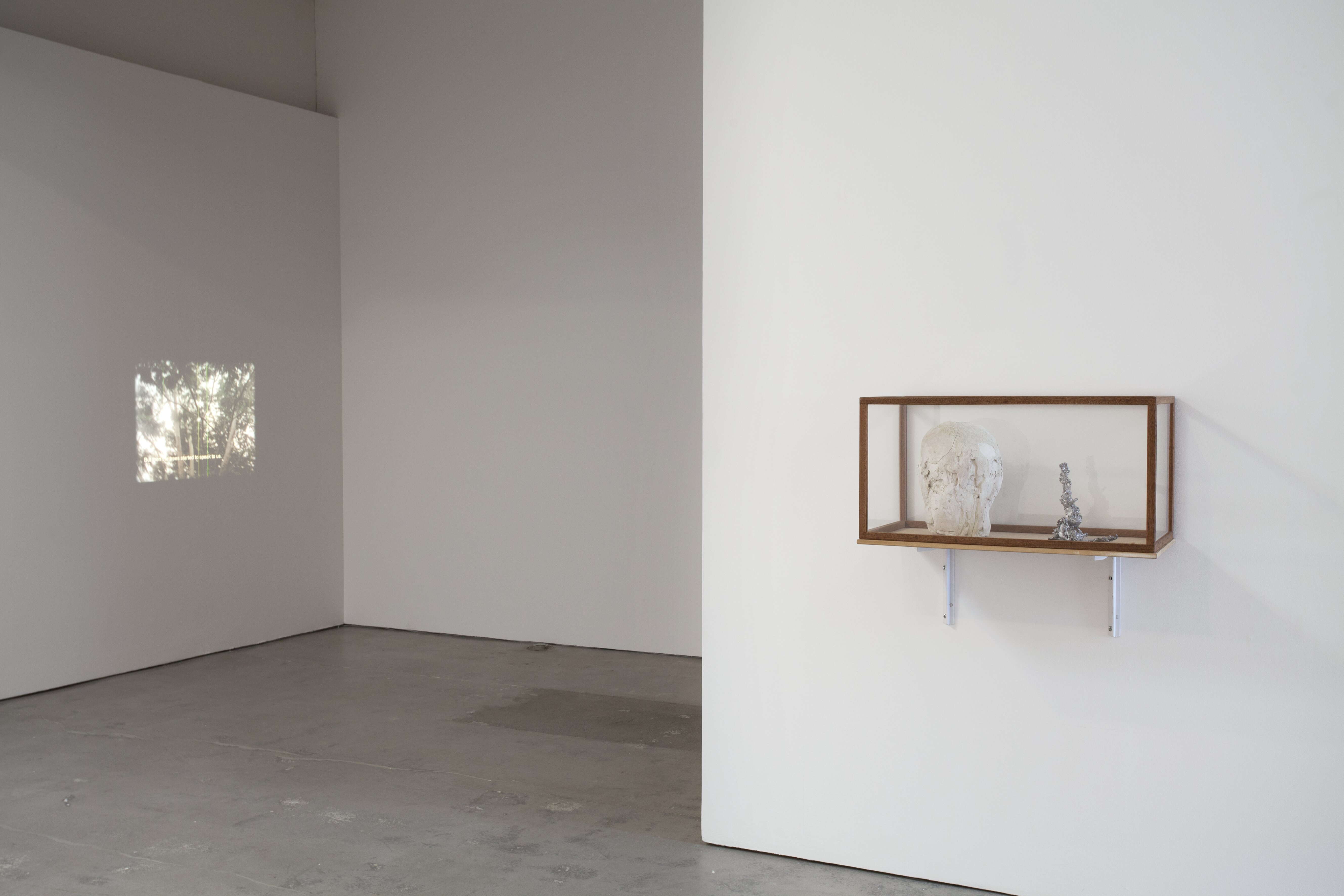 with wounds of clarity / with wounds of dust, installationsvy.