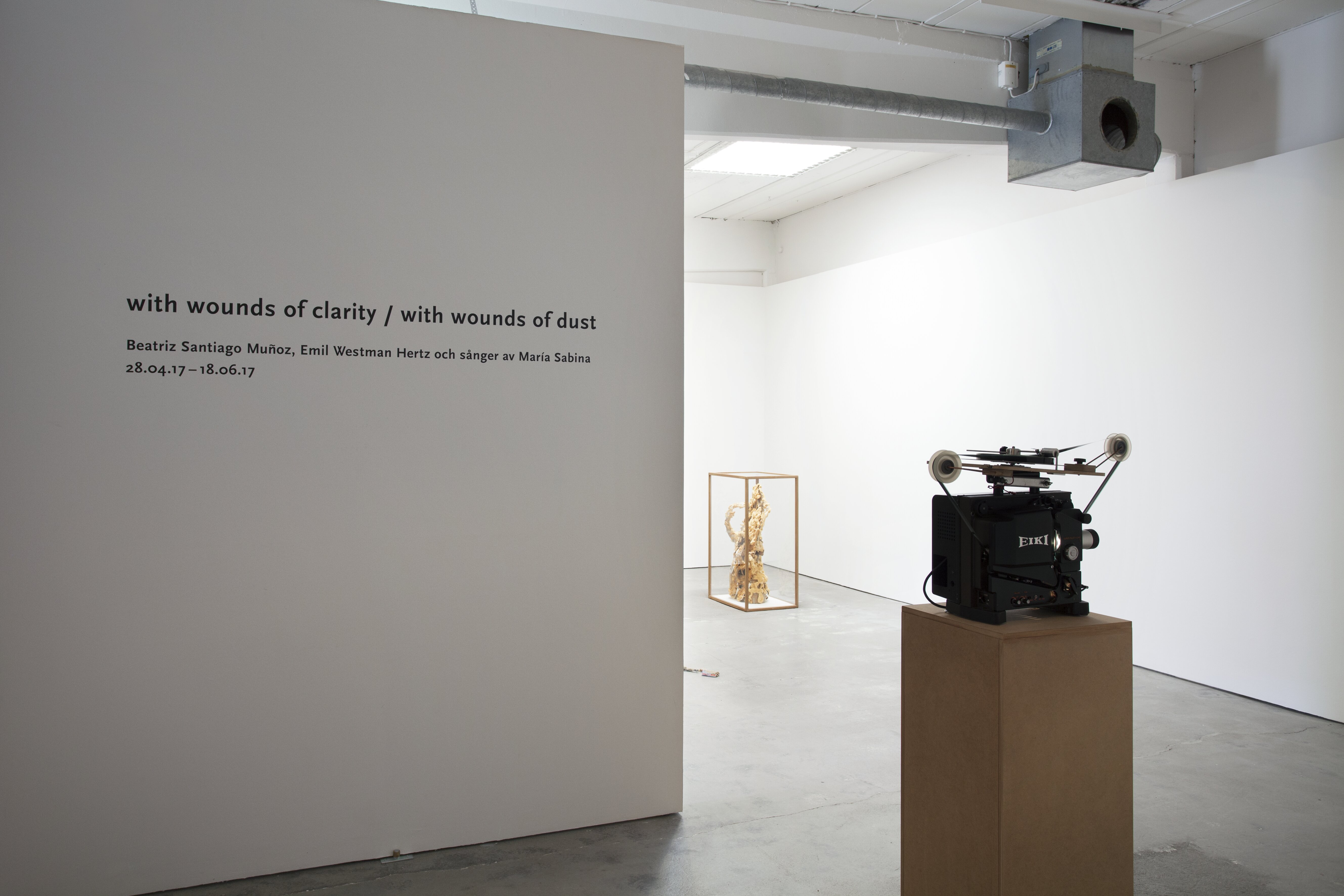 with wounds of clarity / with wounds of dust, installationsvy.