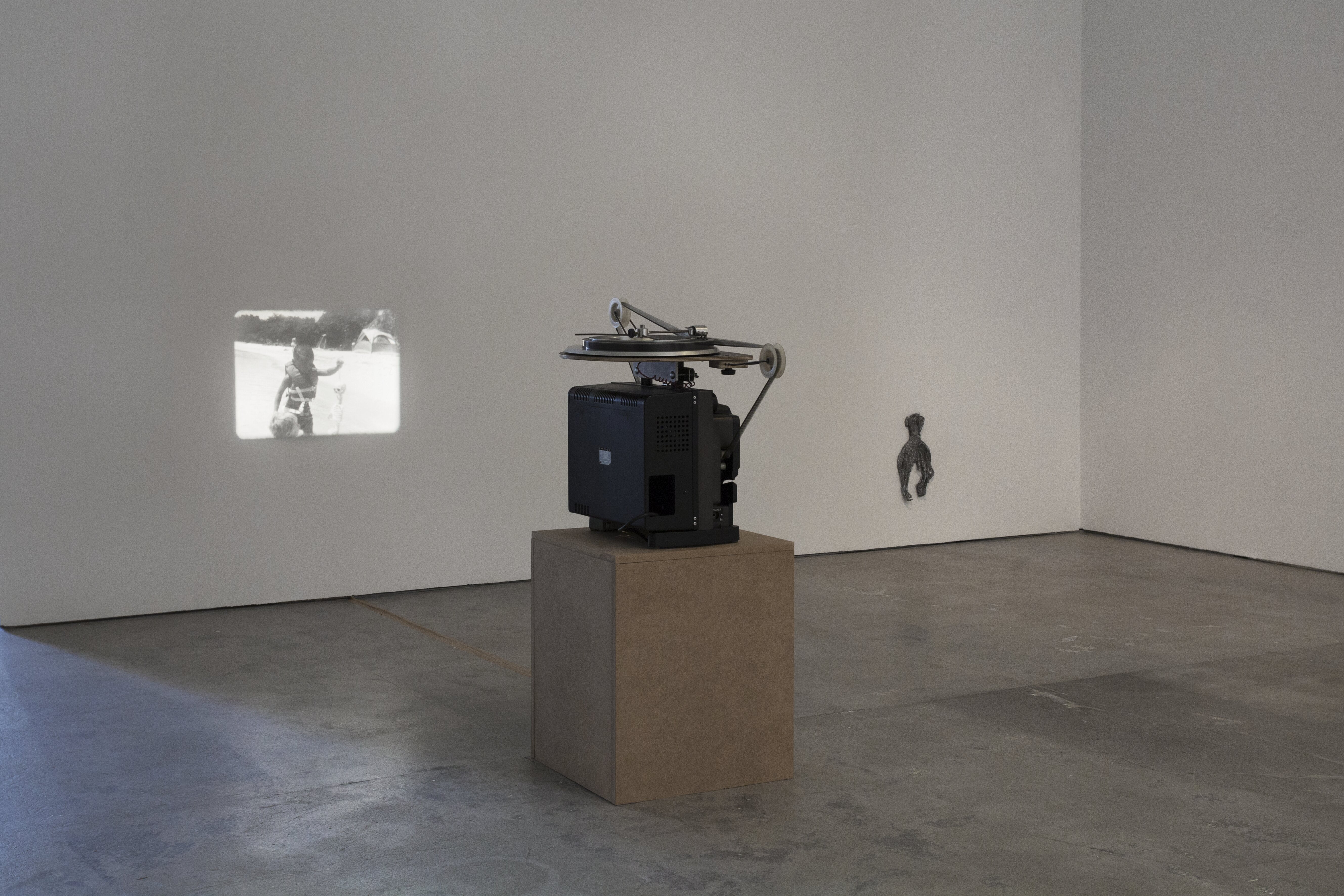 Beatriz Santiago Muñoz, Black Beach/Horse/Camp/The Dead/Forces, 2016. 