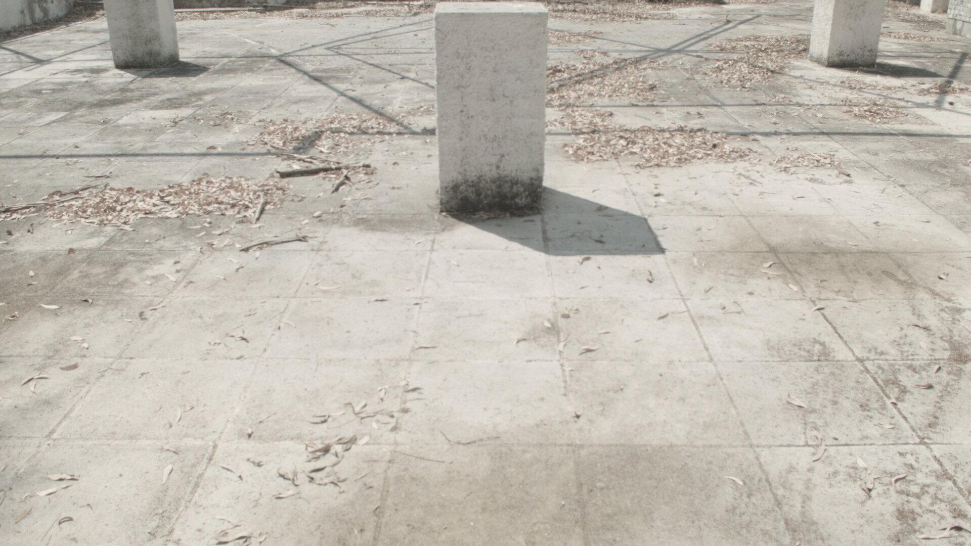 Rallou Panagiotou, Kalypso Volume II, 2016. Stillbild.