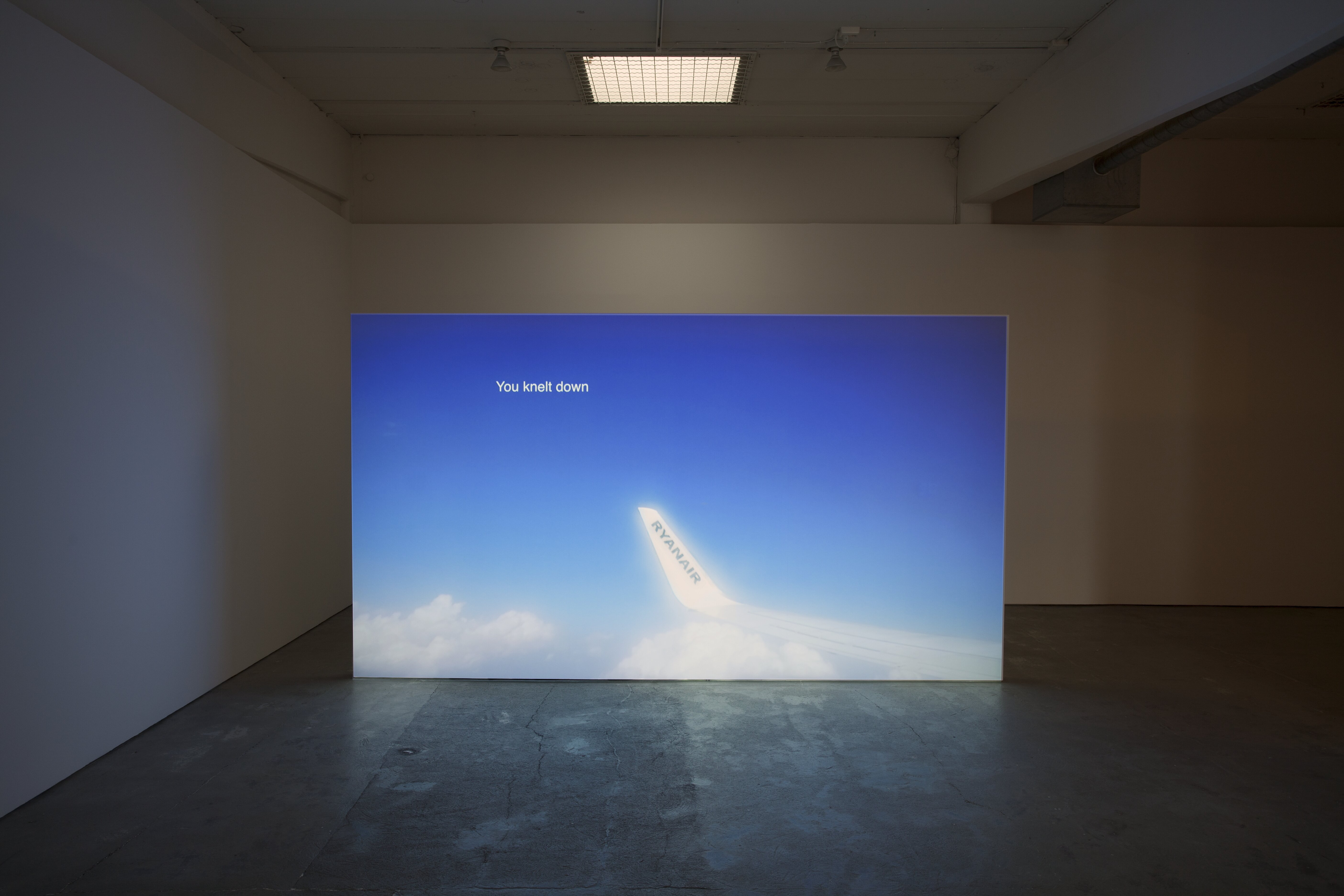 Eleni Bagaki, Economy Class, 2016. 