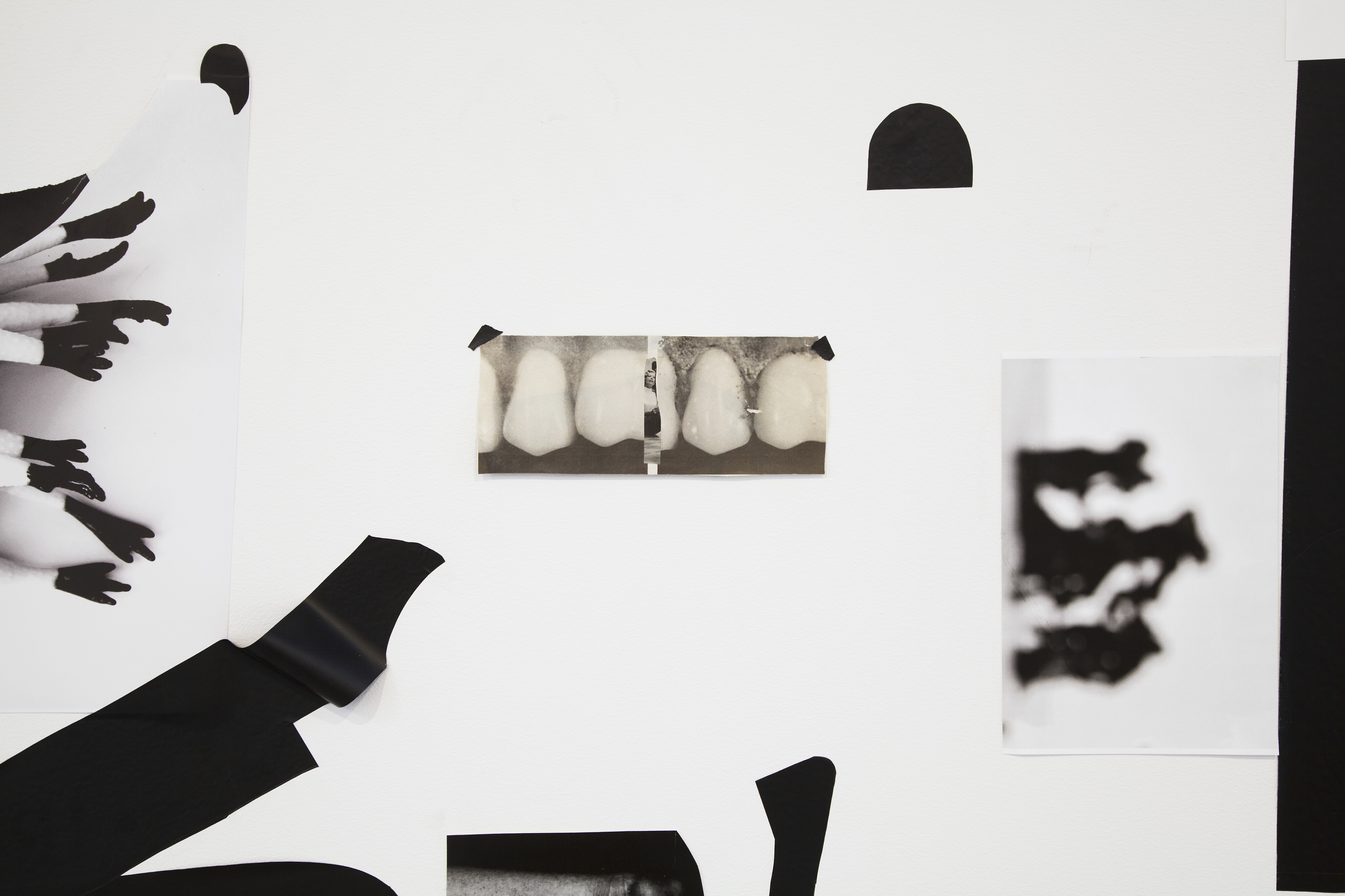 Dana DeGiulio, Syntax for Queen Lear, 2016. Detalj.