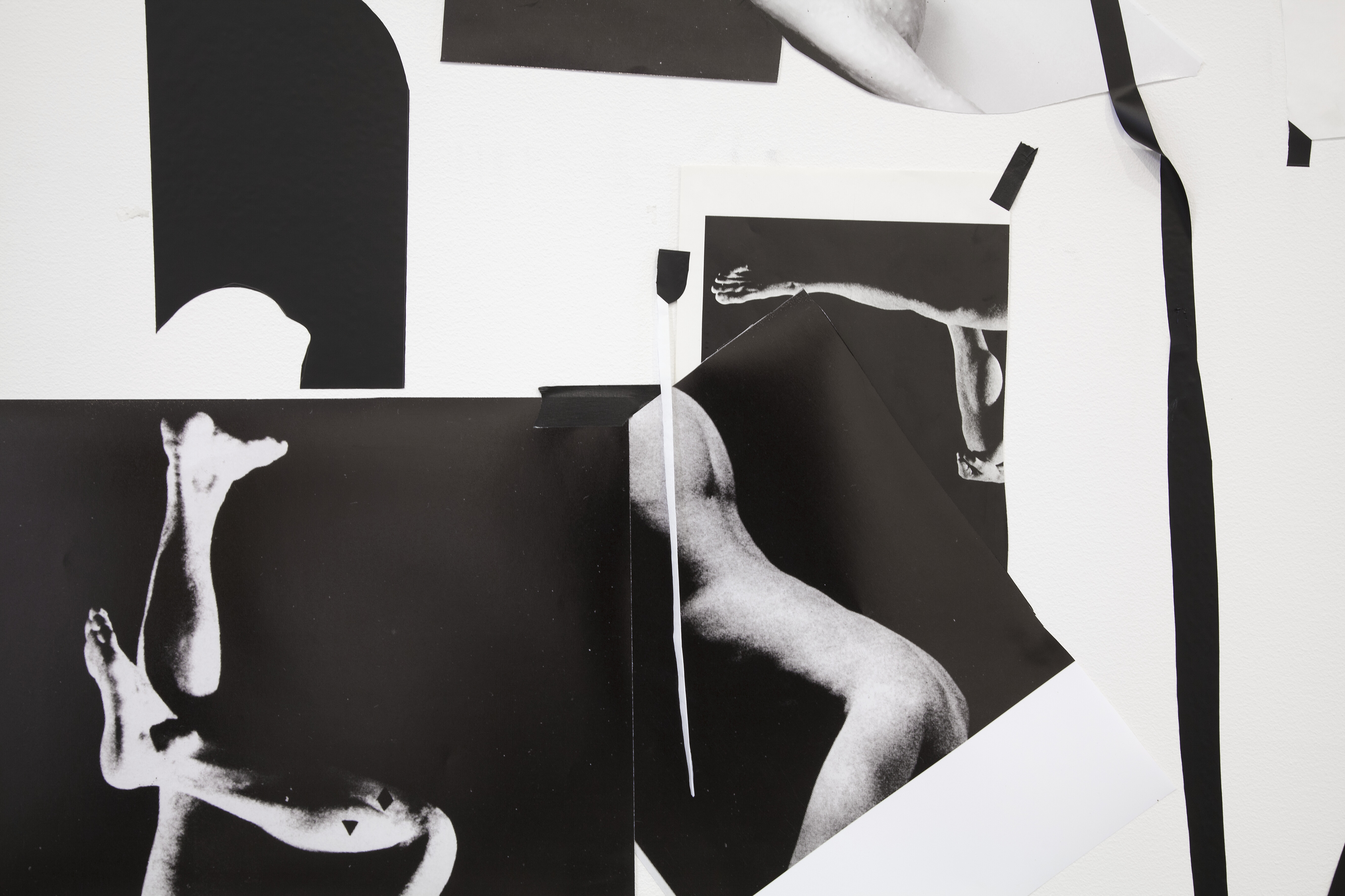 Dana DeGiulio, Syntax for Queen Lear, 2016. Detalj.