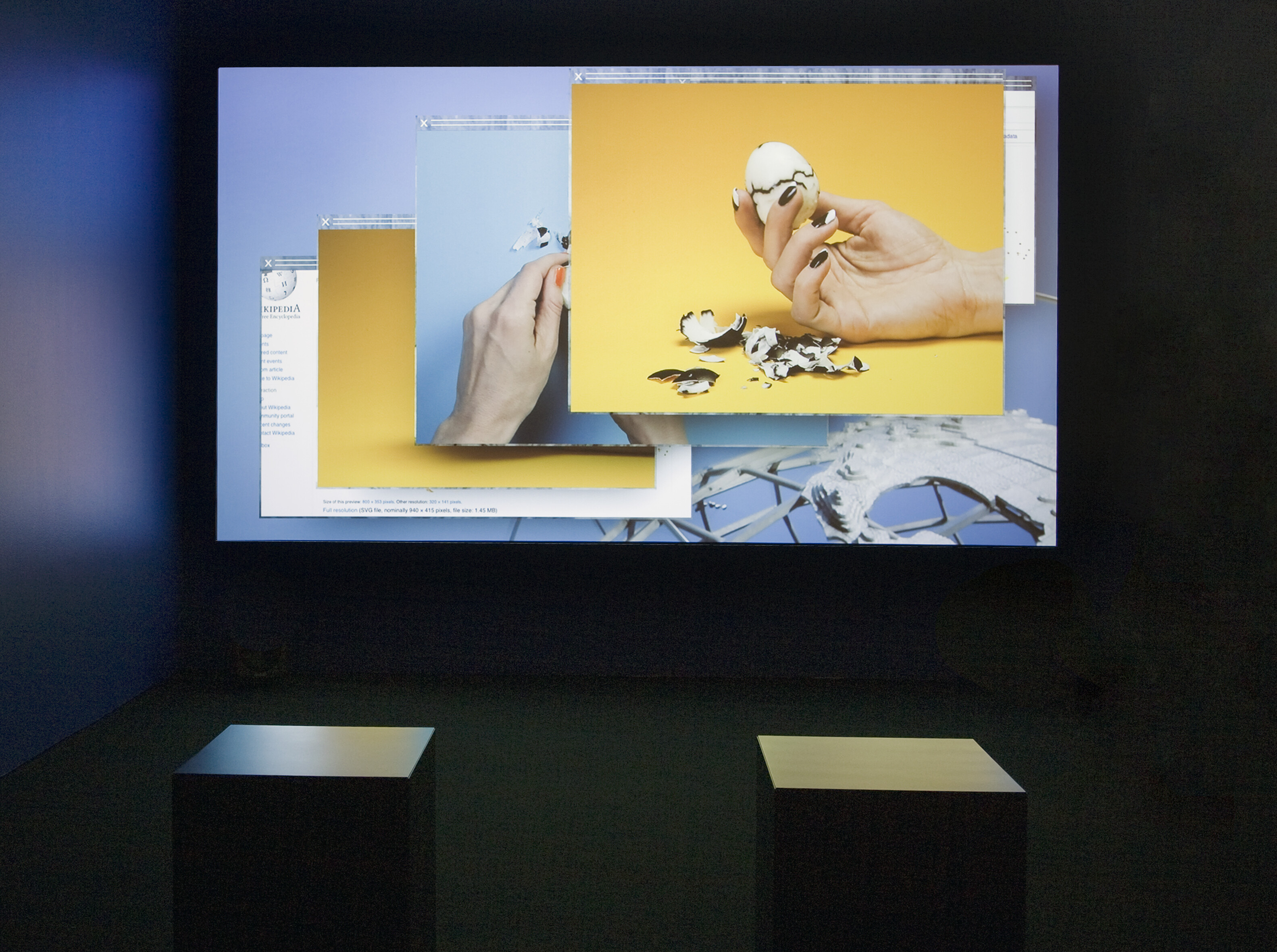 Camille Henrot, Grosse Fatigue, 2013