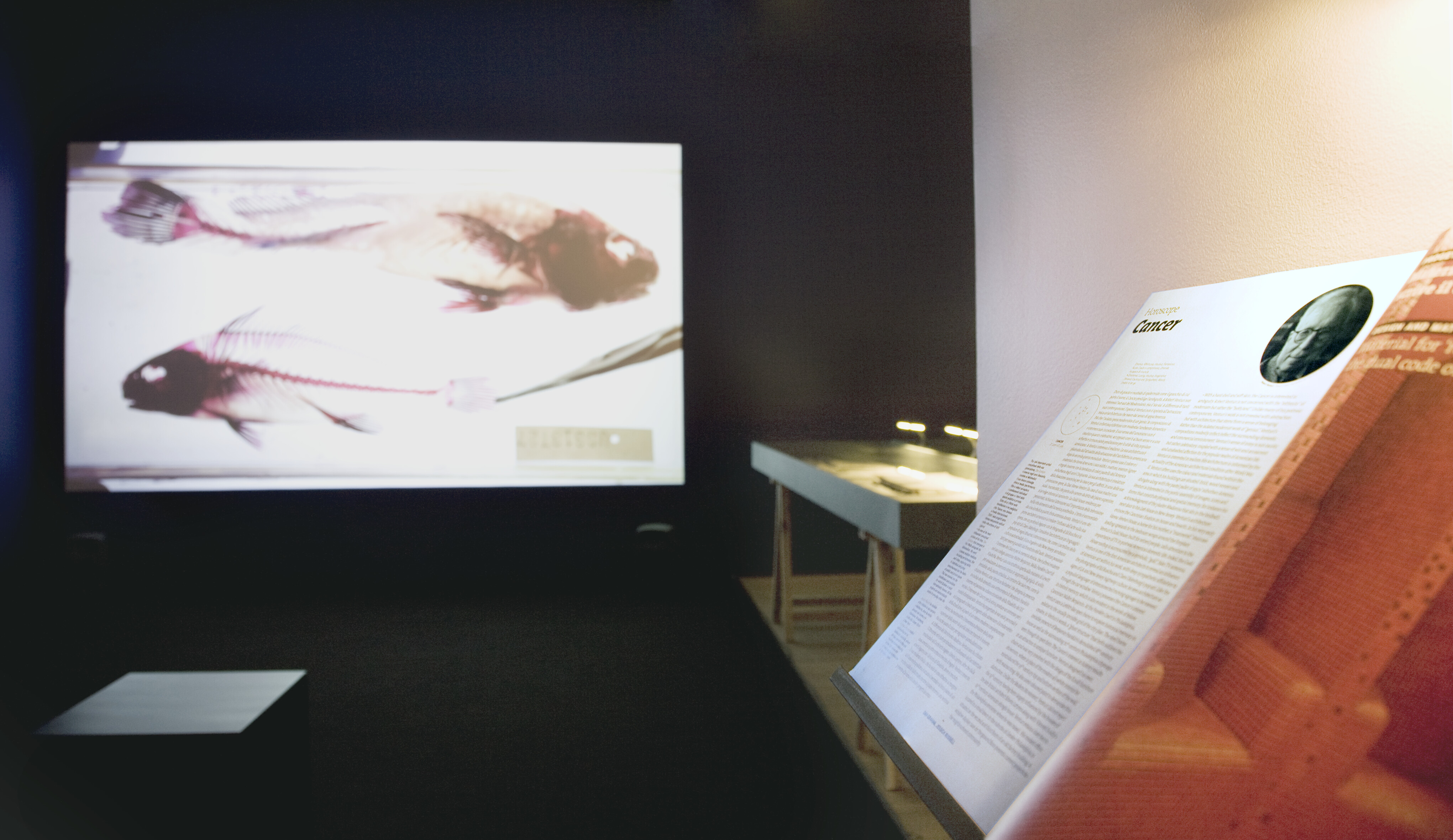 Reading “The World in Which We Live”, Installation view.