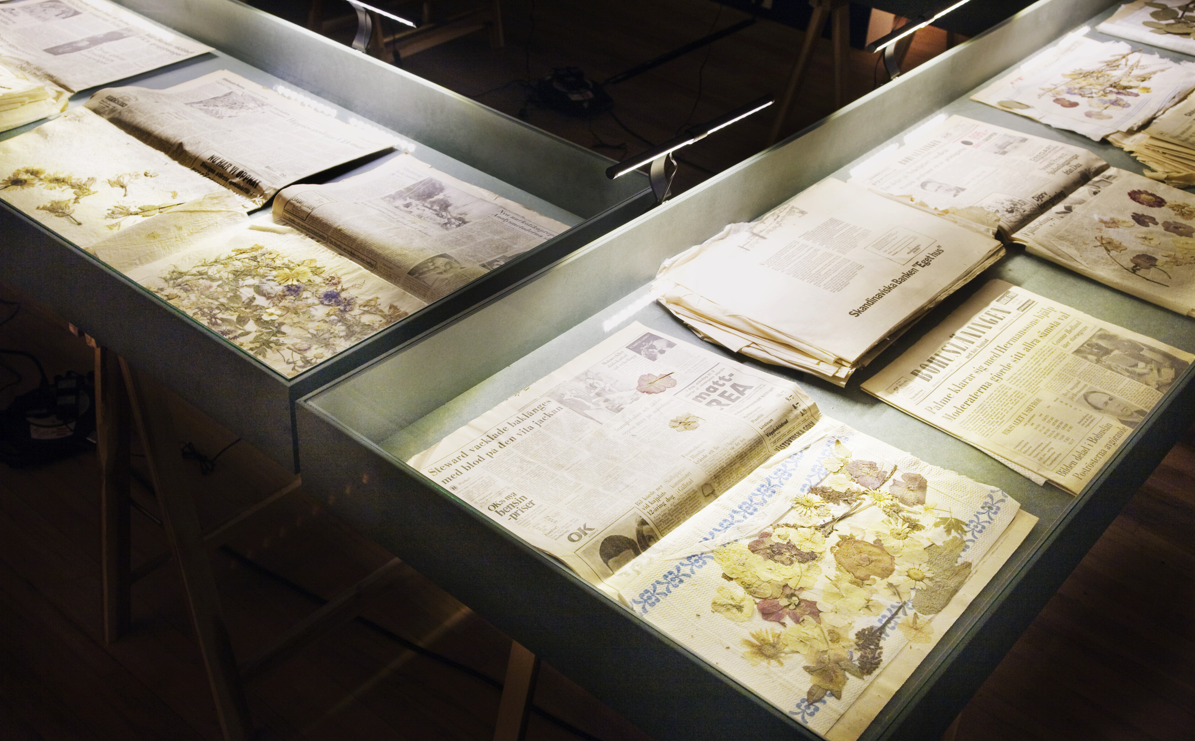 A-L. Löfberg, Herbarium, 1968-71.