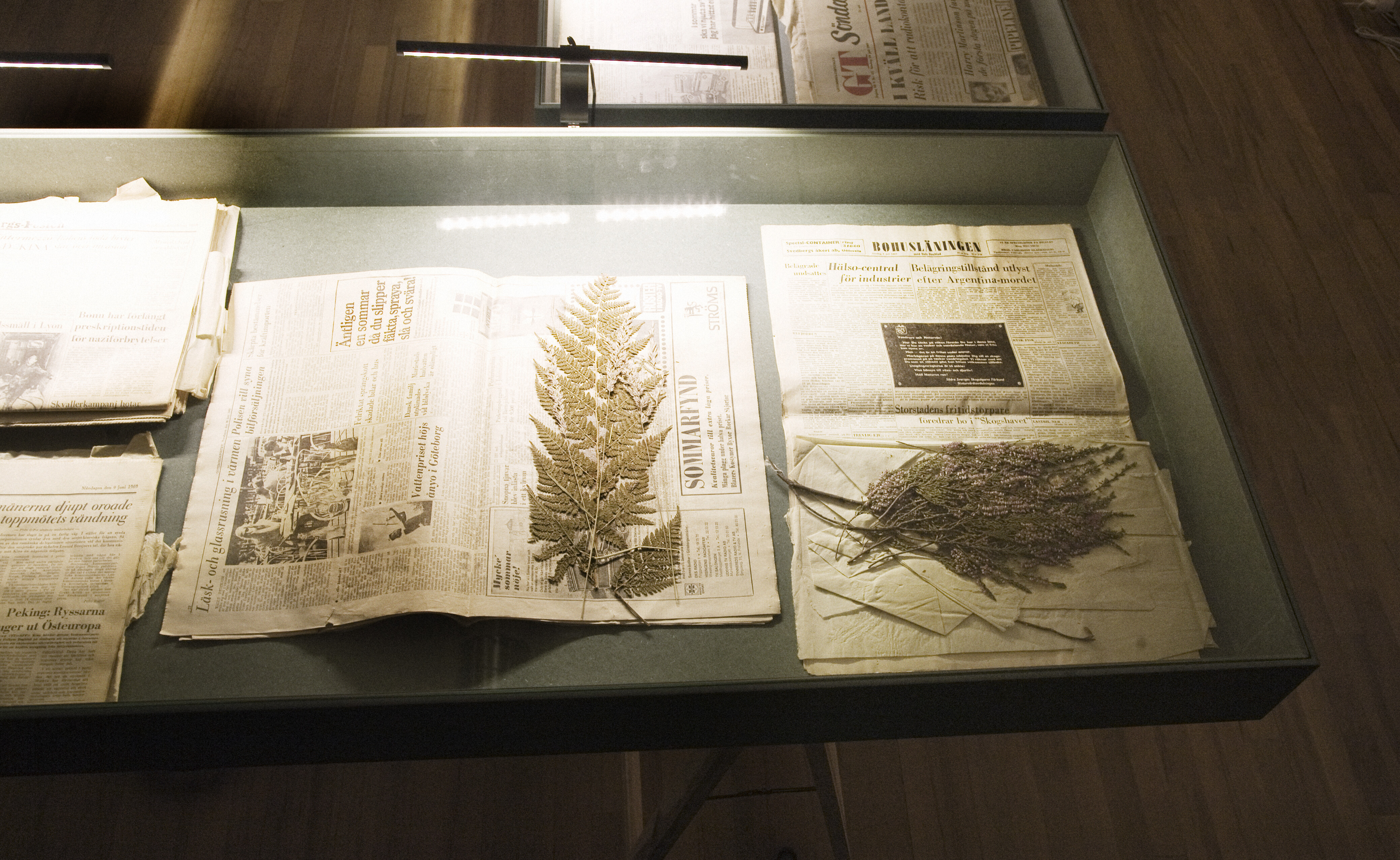 A-L. Löfberg, Herbarium, 1968-71.
