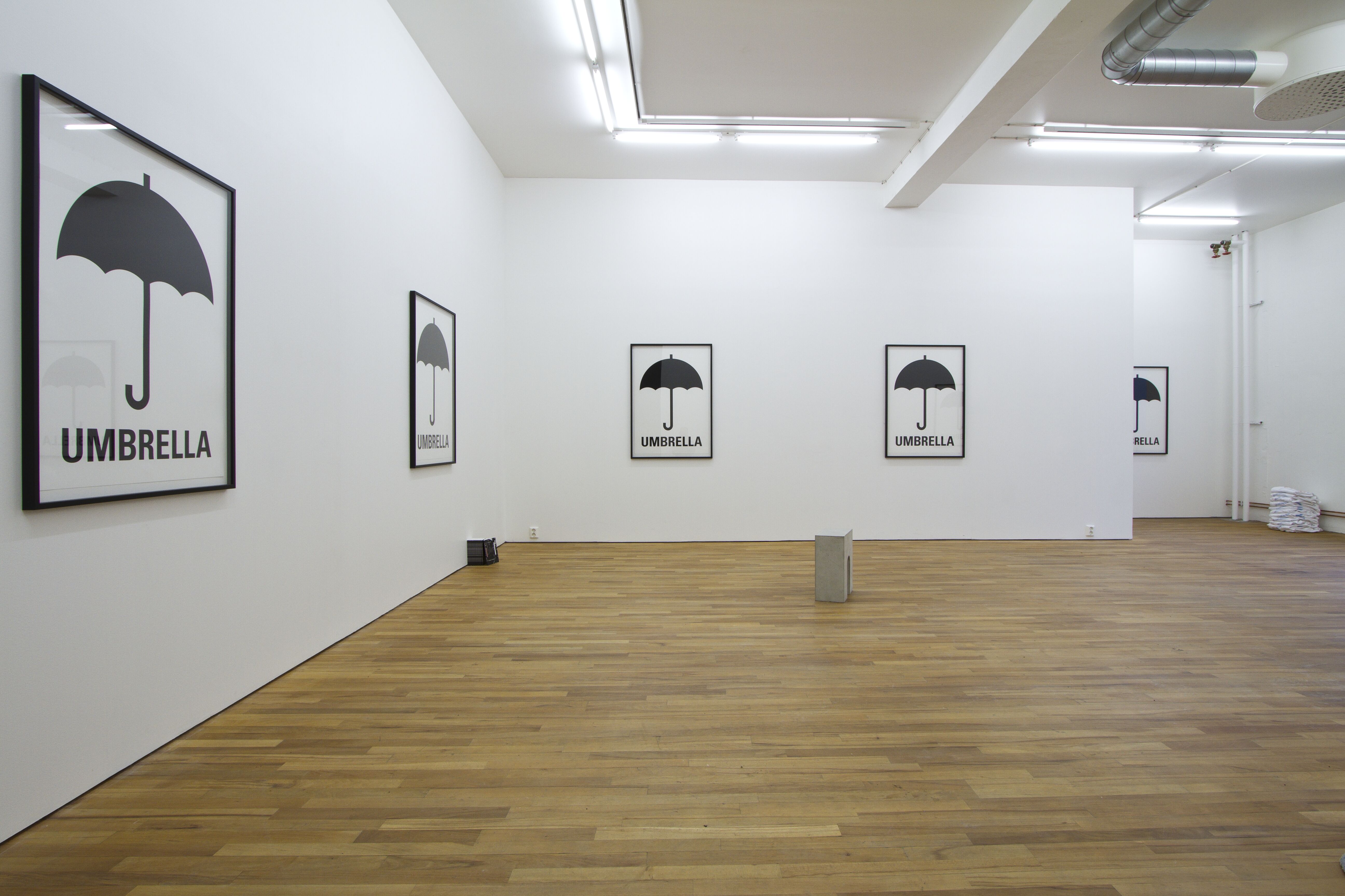 Karl Larsson, R,A,I,N (Consensus). Installationsvy.