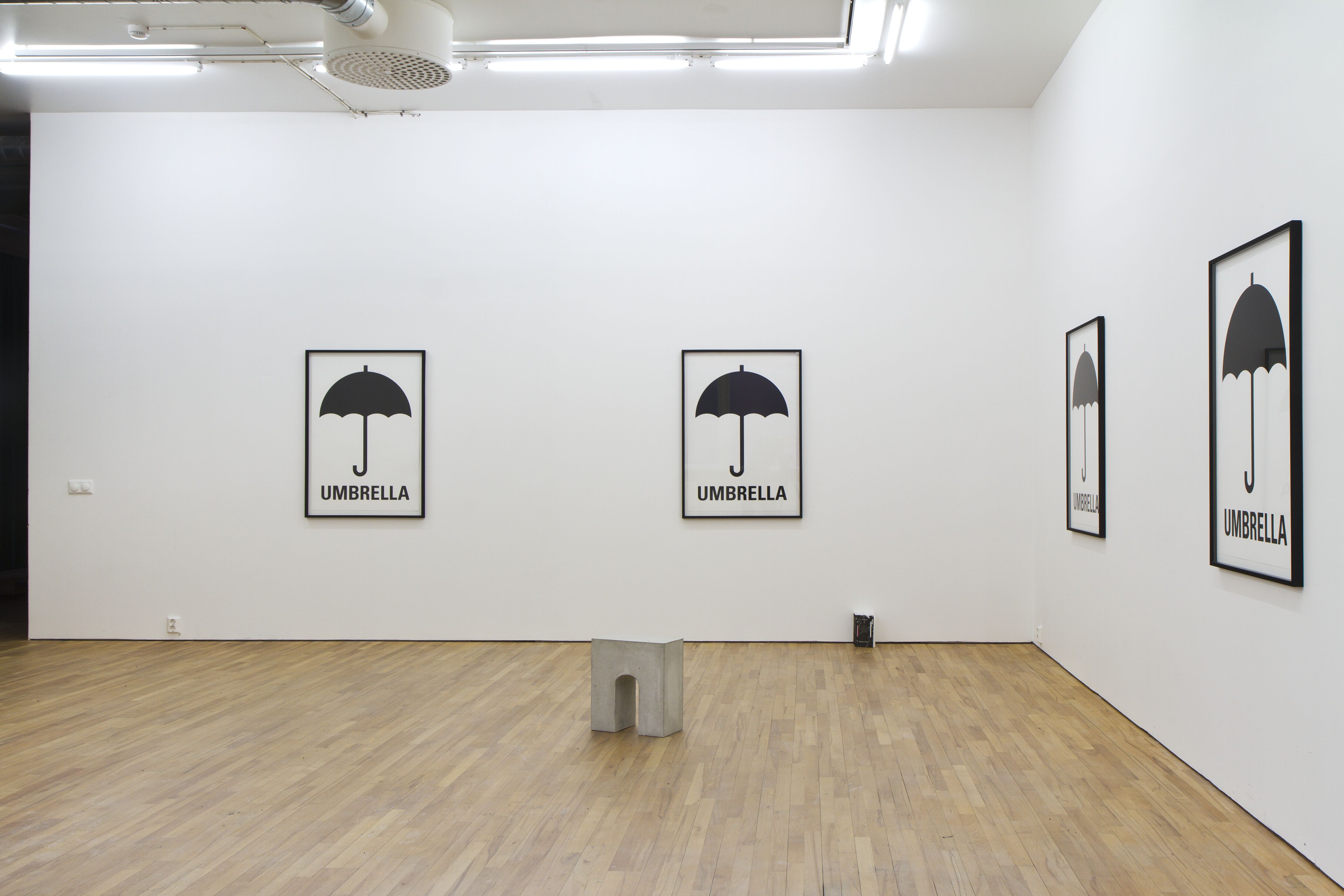 Karl Larsson, R,A,I,N (Consensus). Installationsvy.