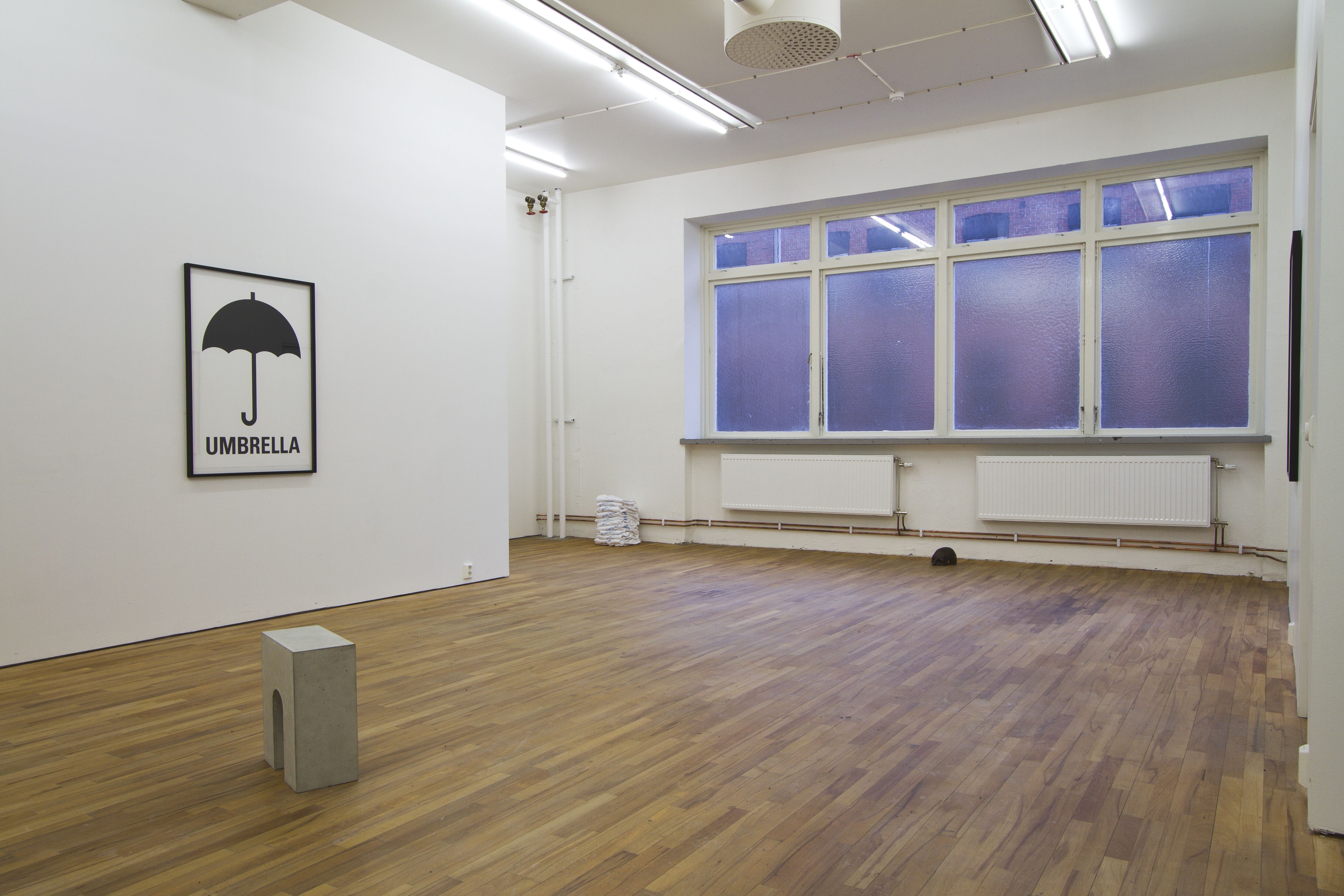 Karl Larsson, R,A,I,N (Consensus). Installationsvy.